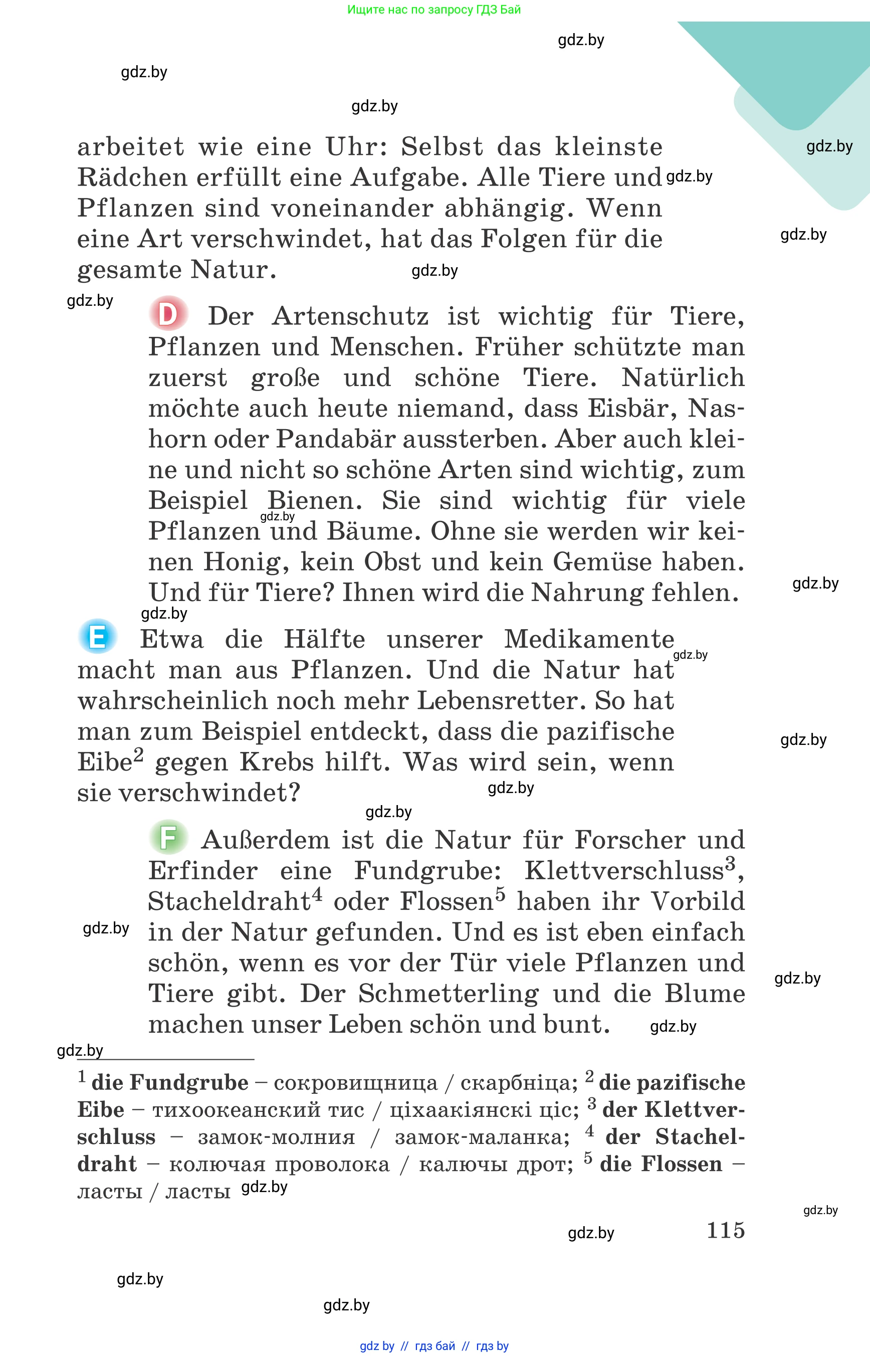 Немецкий язык (Deutsch), 6 класс Учебник (Schülerbuch), авторы: Зуевская Елена Викторовна, Салынская Светлана Ивановна, Негурэ Ольга Вячеславовна, издательство Вышэйшая школа, Минск, 2022, жёлтого цвета, Teil 1, страница 115