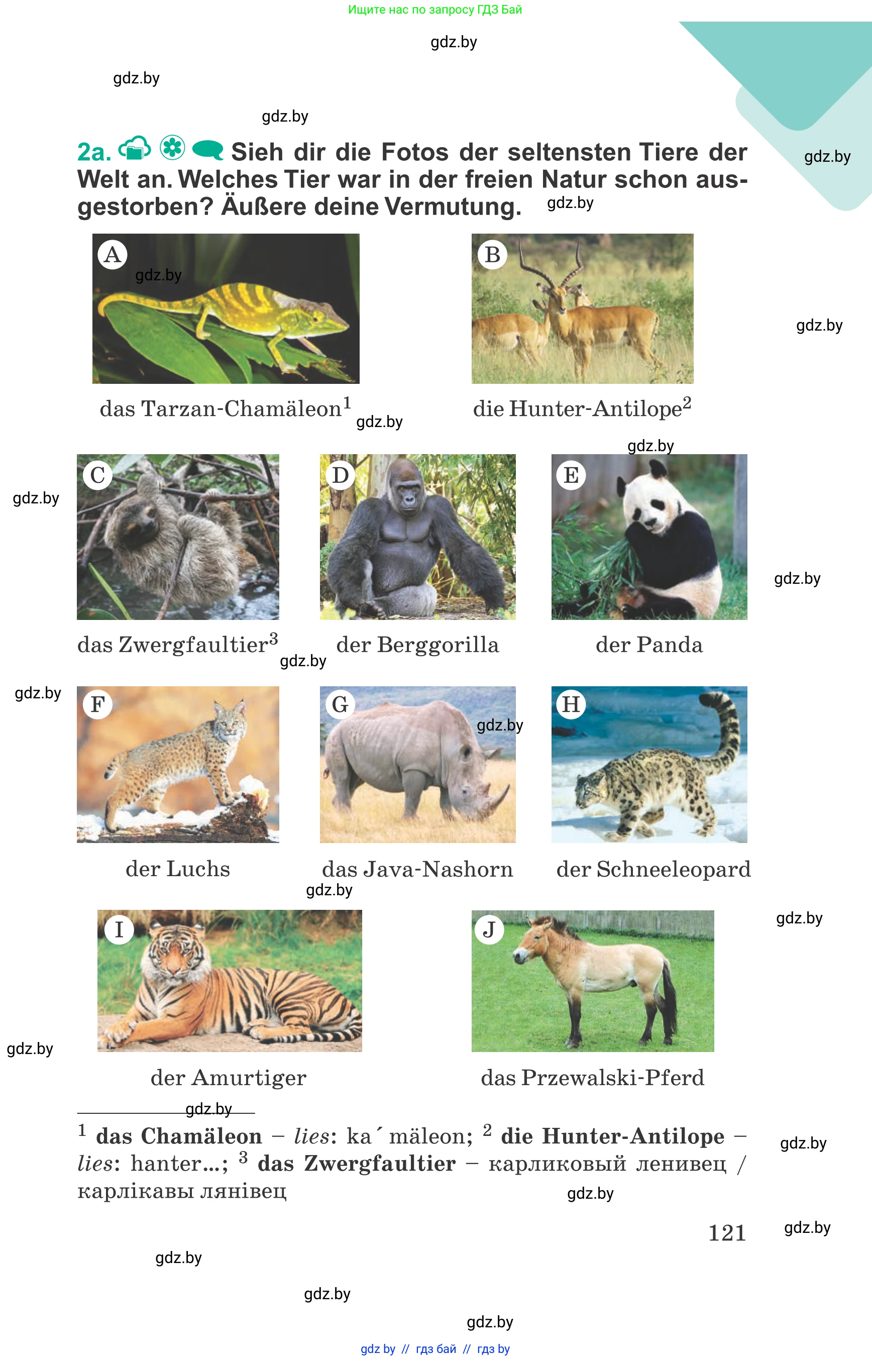 Немецкий язык (Deutsch), 6 класс Учебник (Schülerbuch), авторы: Зуевская Елена Викторовна, Салынская Светлана Ивановна, Негурэ Ольга Вячеславовна, издательство Вышэйшая школа, Минск, 2022, жёлтого цвета, Teil 1, страница 121