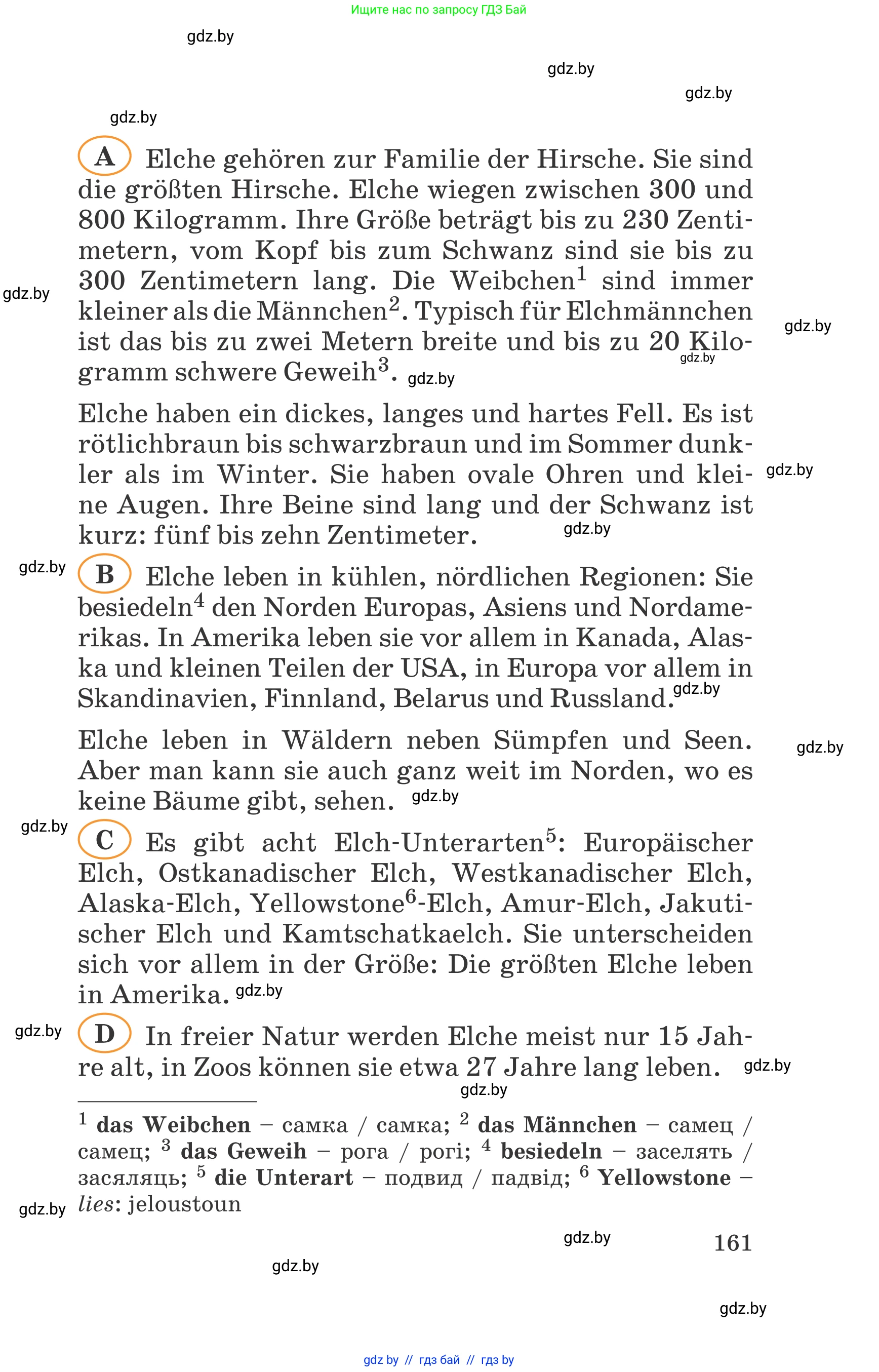 Немецкий язык (Deutsch), 6 класс Учебник (Schülerbuch), авторы: Зуевская Елена Викторовна, Салынская Светлана Ивановна, Негурэ Ольга Вячеславовна, издательство Вышэйшая школа, Минск, 2022, жёлтого цвета, страница 161