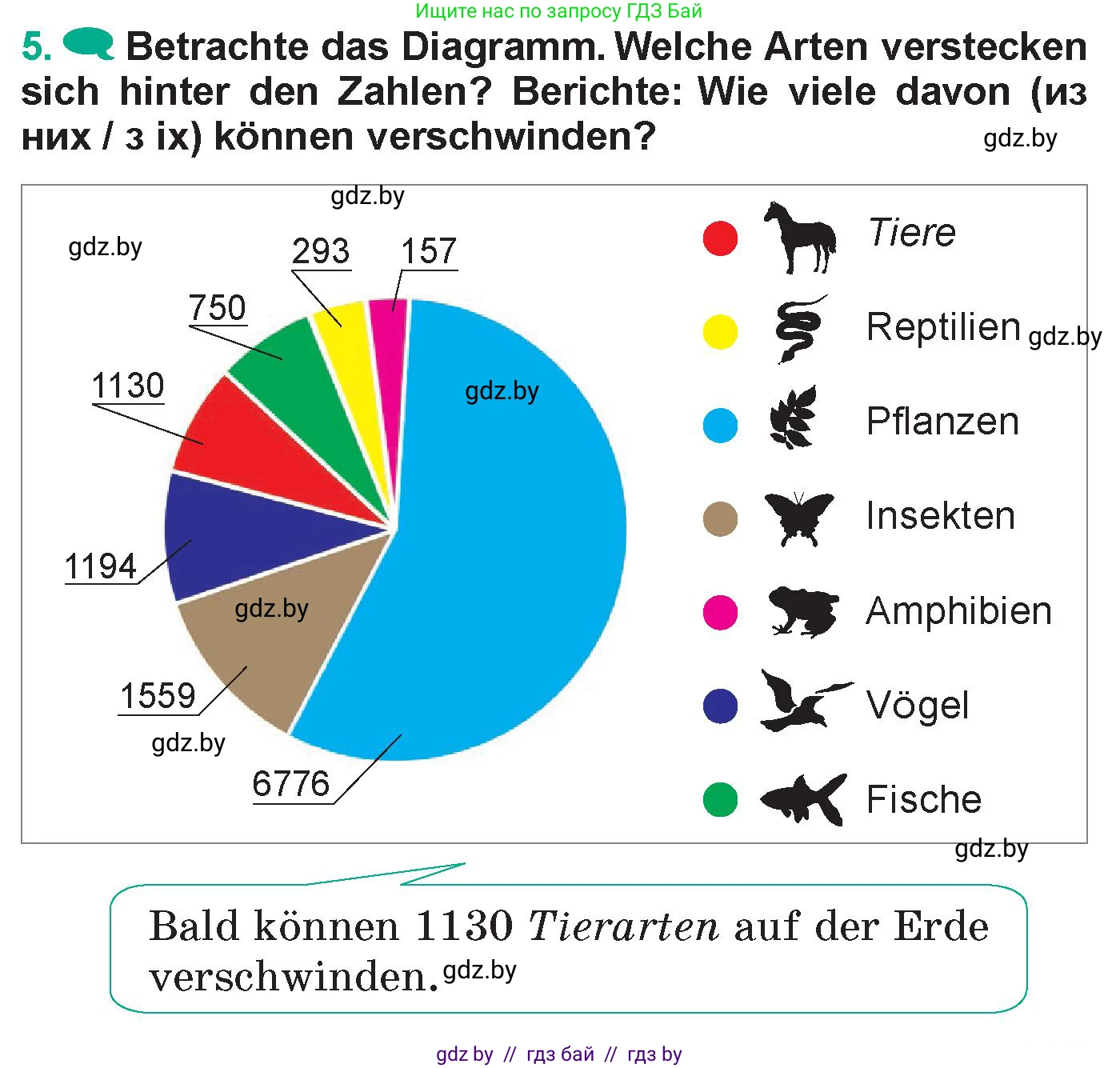 Немецкий язык (Deutsch), 6 класс Учебник (Schülerbuch), авторы: Зуевская Елена Викторовна, Салынская Светлана Ивановна, Негурэ Ольга Вячеславовна, издательство Вышэйшая школа, Минск, 2022, жёлтого цвета, Teil 2, страница 119, номер 5, Условие