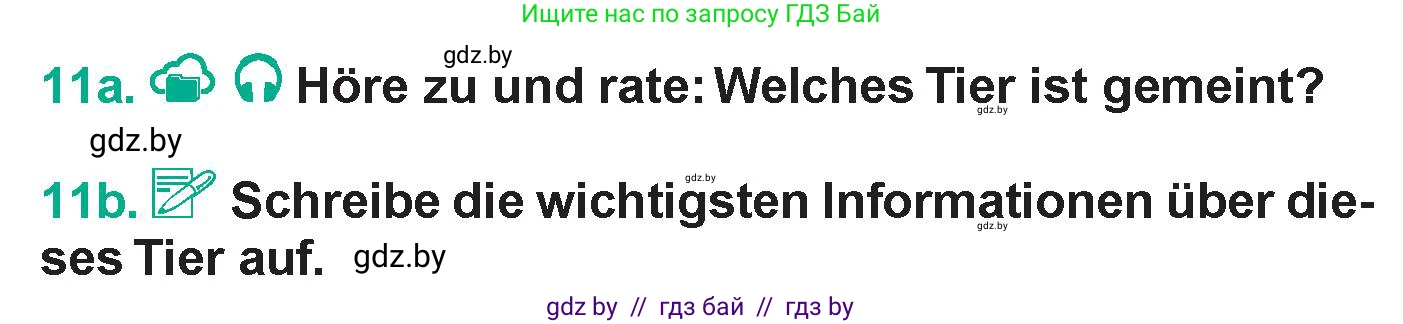 Немецкий язык (Deutsch), 6 класс Учебник (Schülerbuch), авторы: Зуевская Елена Викторовна, Салынская Светлана Ивановна, Негурэ Ольга Вячеславовна, издательство Вышэйшая школа, Минск, 2022, жёлтого цвета, Teil 2, страница 132, номер 11, Условие