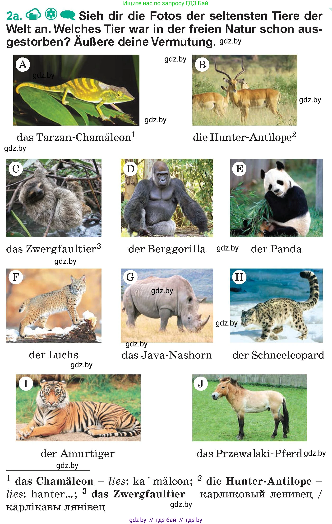 Немецкий язык (Deutsch), 6 класс Учебник (Schülerbuch), авторы: Зуевская Елена Викторовна, Салынская Светлана Ивановна, Негурэ Ольга Вячеславовна, издательство Вышэйшая школа, Минск, 2022, жёлтого цвета, Teil 2, страница 121, номер 2, Условие