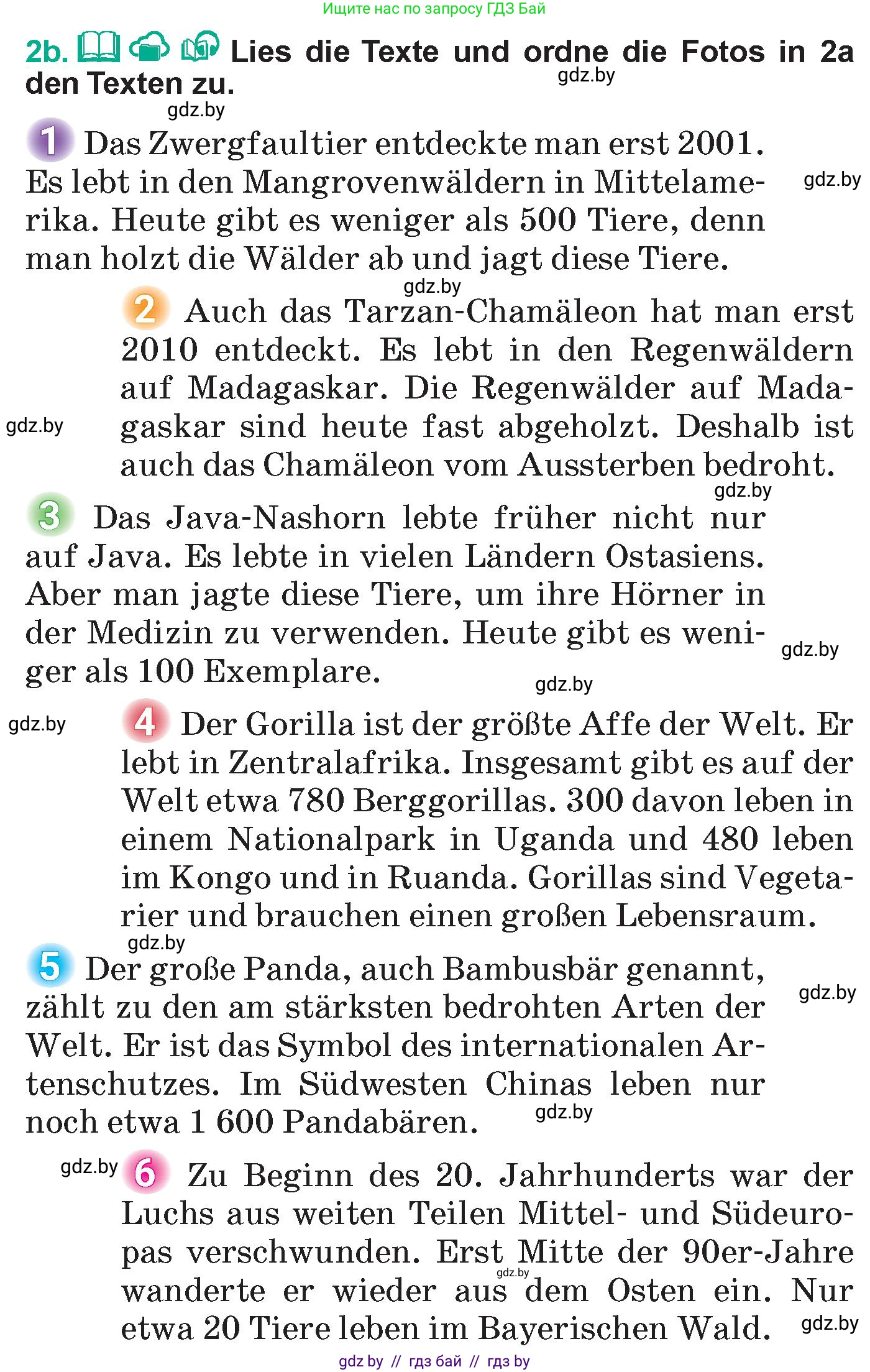 Немецкий язык (Deutsch), 6 класс Учебник (Schülerbuch), авторы: Зуевская Елена Викторовна, Салынская Светлана Ивановна, Негурэ Ольга Вячеславовна, издательство Вышэйшая школа, Минск, 2022, жёлтого цвета, Teil 2, страница 121, номер 2, Условие (продолжение 2)