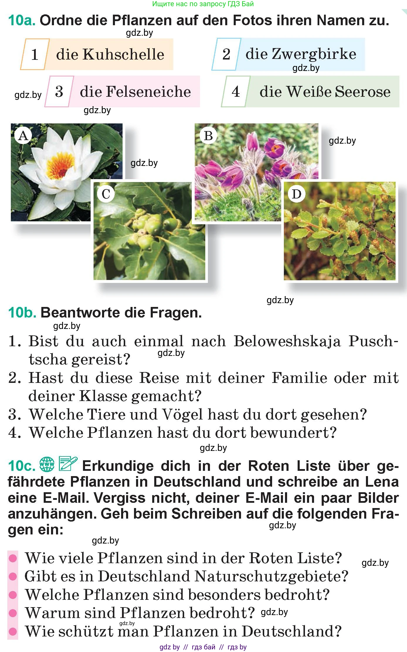 Немецкий язык (Deutsch), 6 класс Учебник (Schülerbuch), авторы: Зуевская Елена Викторовна, Салынская Светлана Ивановна, Негурэ Ольга Вячеславовна, издательство Вышэйшая школа, Минск, 2022, жёлтого цвета, Teil 2, страница 140, номер 10, Условие (продолжение 2)