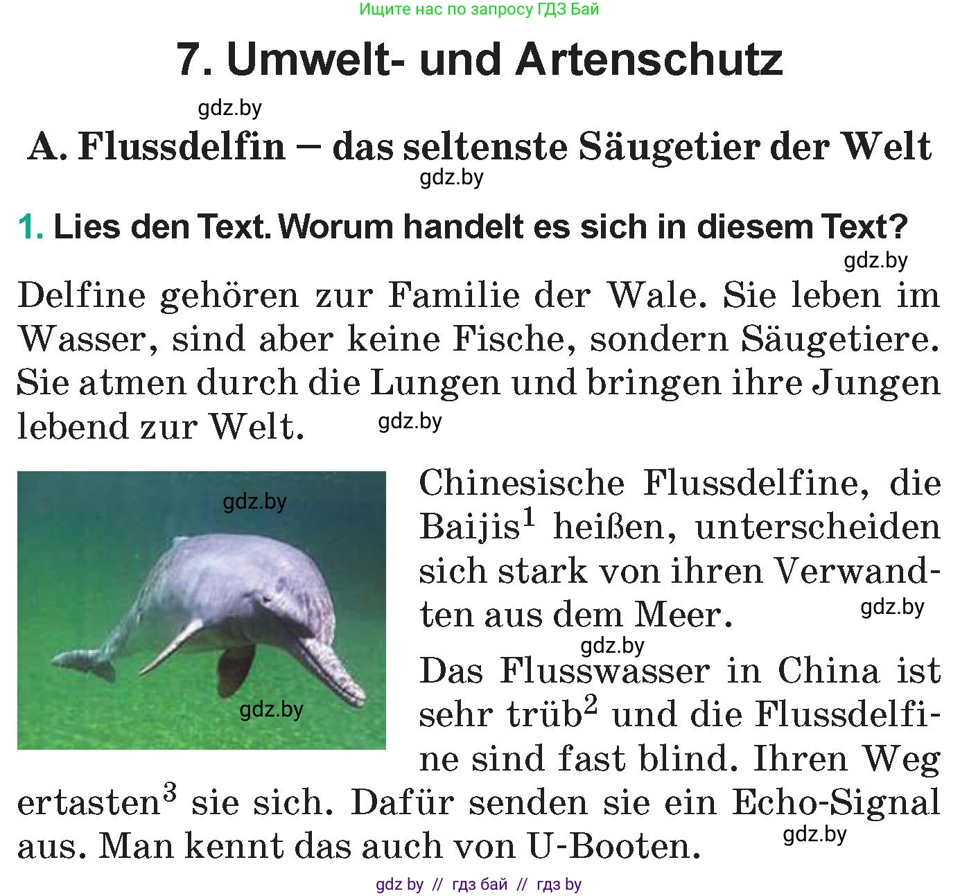 Немецкий язык (Deutsch), 6 класс Учебник (Schülerbuch), авторы: Зуевская Елена Викторовна, Салынская Светлана Ивановна, Негурэ Ольга Вячеславовна, издательство Вышэйшая школа, Минск, 2022, жёлтого цвета, Teil 2, страница 158, номер 1, Условие