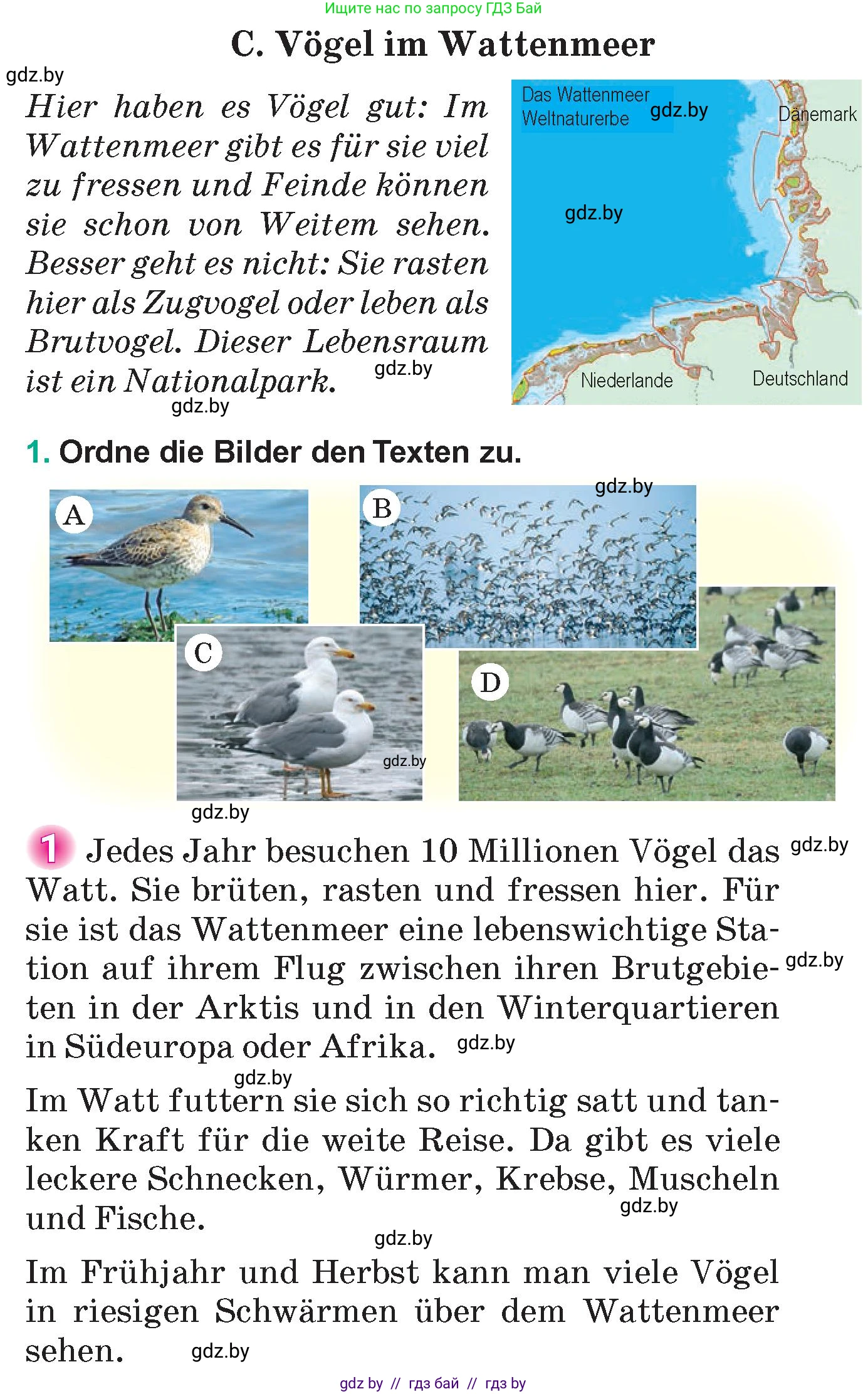 Немецкий язык (Deutsch), 6 класс Учебник (Schülerbuch), авторы: Зуевская Елена Викторовна, Салынская Светлана Ивановна, Негурэ Ольга Вячеславовна, издательство Вышэйшая школа, Минск, 2022, жёлтого цвета, Teil 2, страница 162, номер 1, Условие