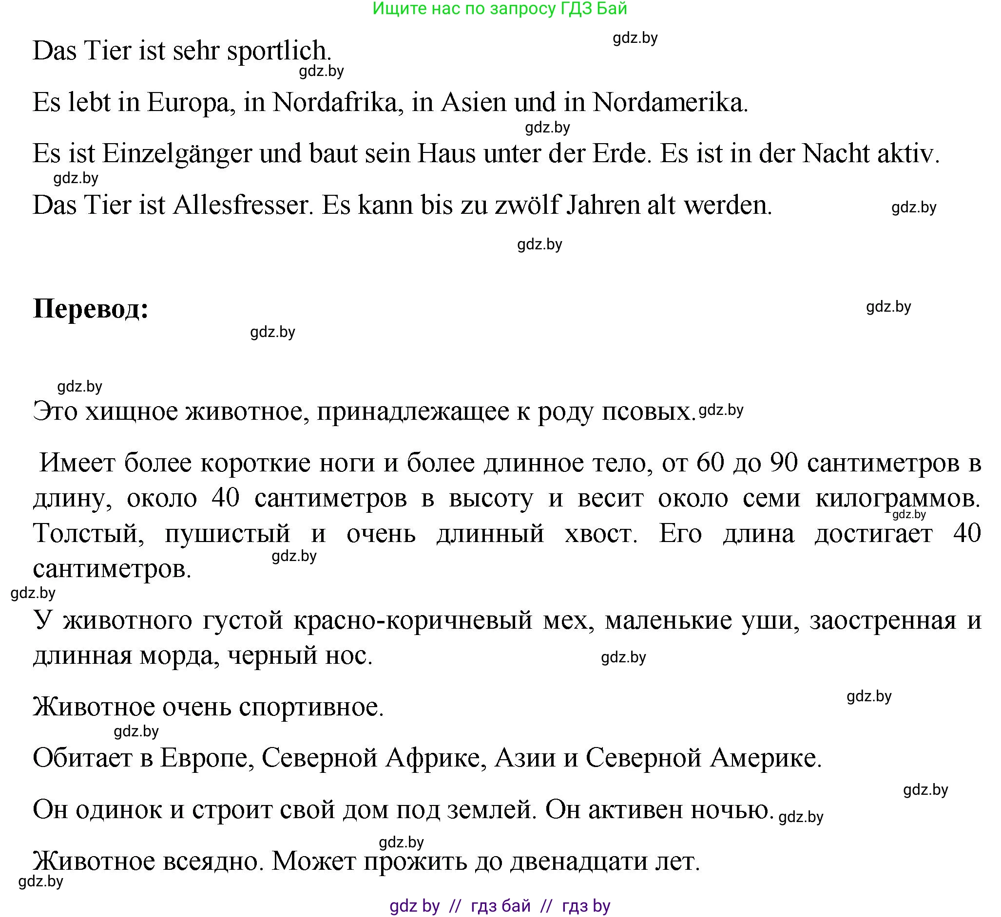 Немецкий язык (Deutsch), 6 класс Учебник (Schülerbuch), авторы: Зуевская Елена Викторовна, Салынская Светлана Ивановна, Негурэ Ольга Вячеславовна, издательство Вышэйшая школа, Минск, 2022, жёлтого цвета, Teil 2, страница 132, номер 11, Решение (продолжение 2)