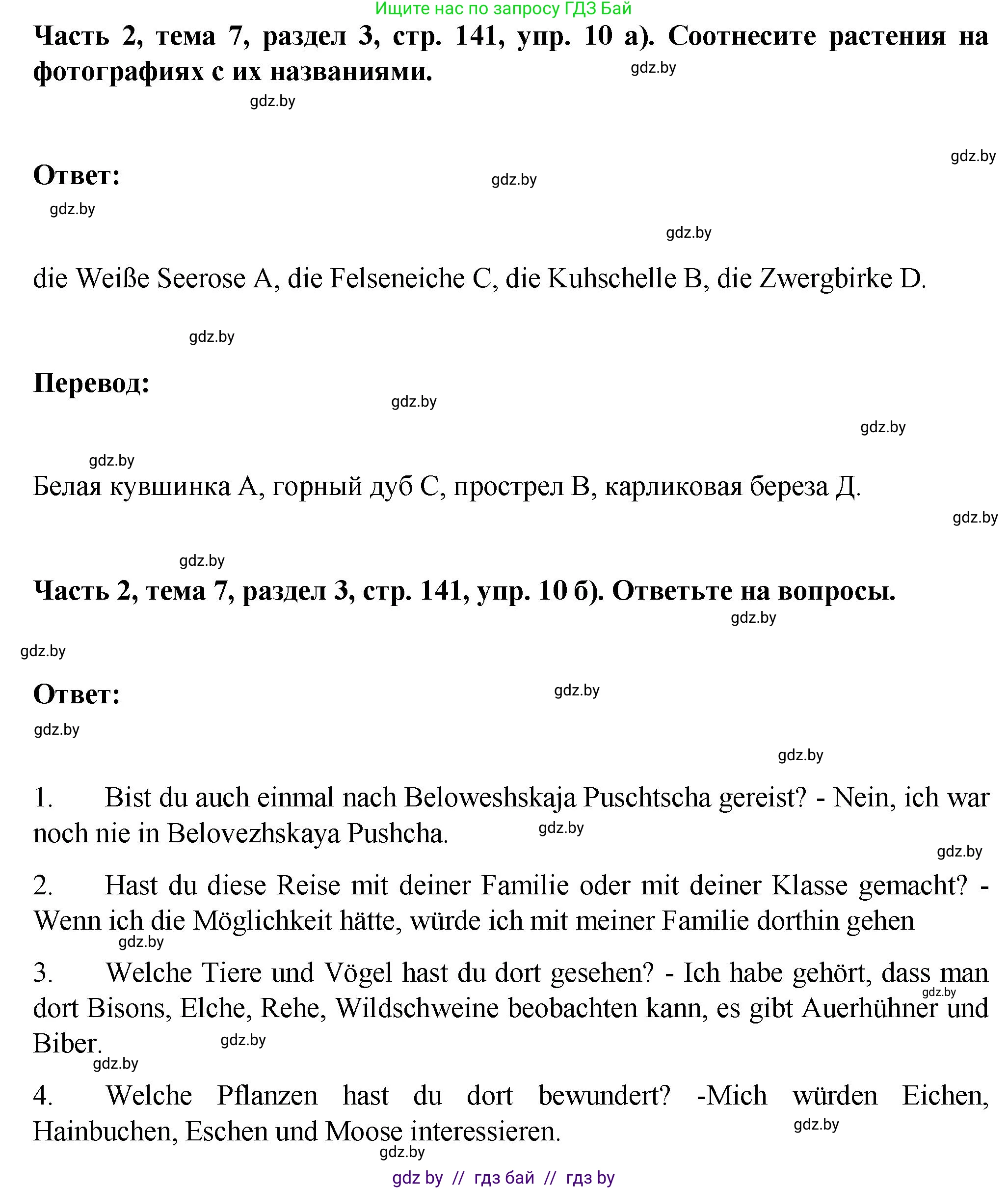 Немецкий язык (Deutsch), 6 класс Учебник (Schülerbuch), авторы: Зуевская Елена Викторовна, Салынская Светлана Ивановна, Негурэ Ольга Вячеславовна, издательство Вышэйшая школа, Минск, 2022, жёлтого цвета, Teil 2, страница 140, номер 10, Решение (продолжение 2)