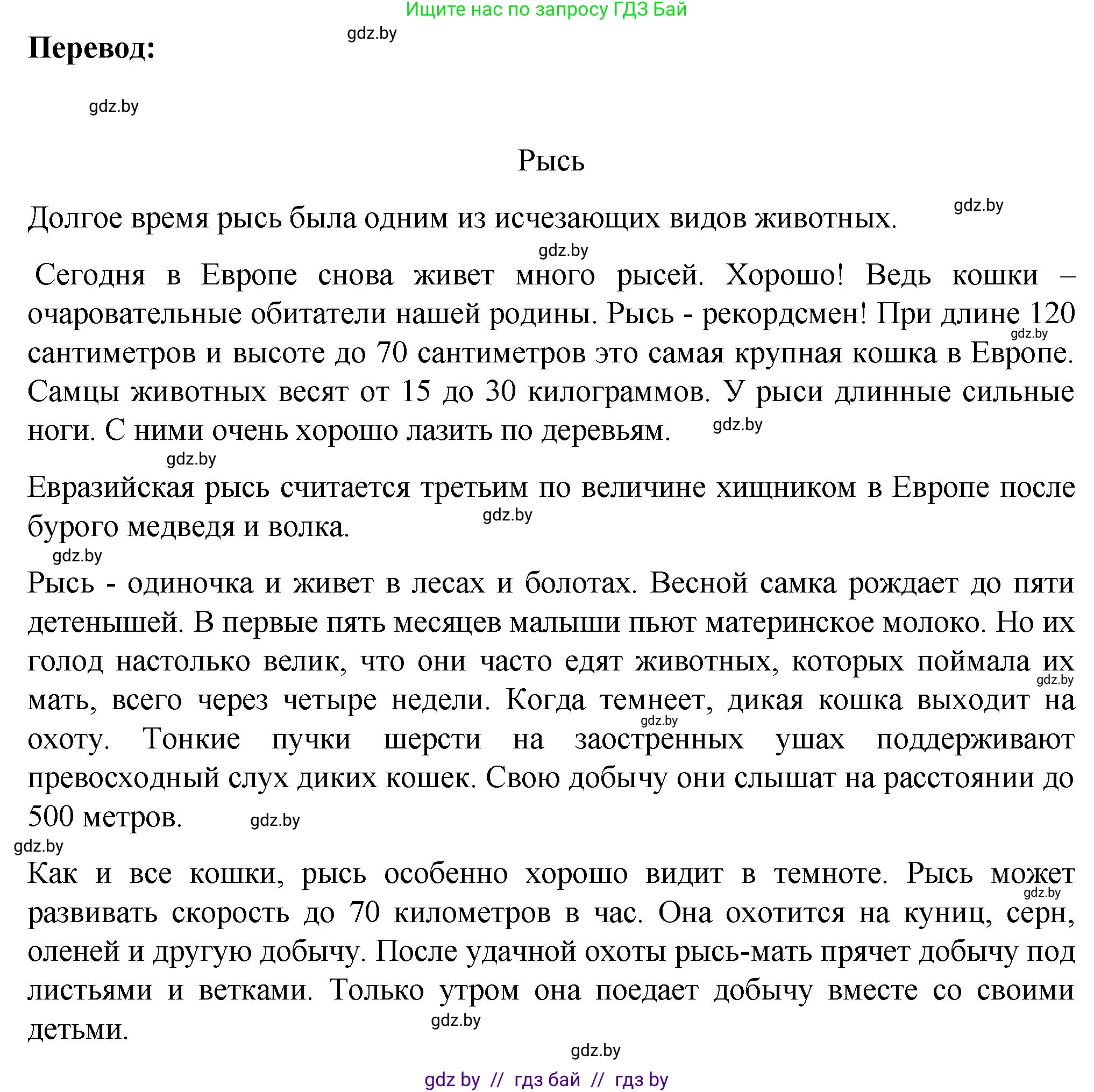 Немецкий язык (Deutsch), 6 класс Учебник (Schülerbuch), авторы: Зуевская Елена Викторовна, Салынская Светлана Ивановна, Негурэ Ольга Вячеславовна, издательство Вышэйшая школа, Минск, 2022, жёлтого цвета, Teil 2, страница 176, номер 2, Решение (продолжение 2)