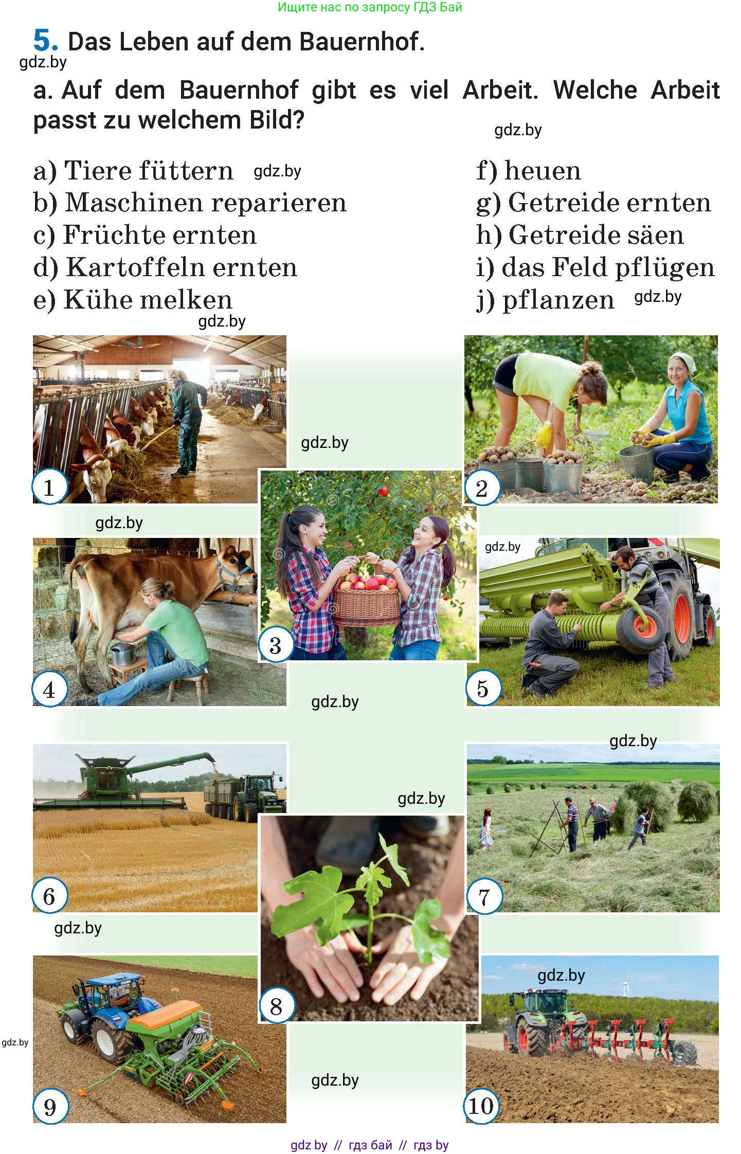 Немецкий язык (Deutsch), 7 класс Учебник (Schülerbuch), авторы: Будько Антонина Филипповна (Budjko Antonina), Урбанович Инна Ювинальевна (Urbanowitsch Ina), издательство Вышэйшая школа, Минск, 2021, страница 158, номер 5, Условие