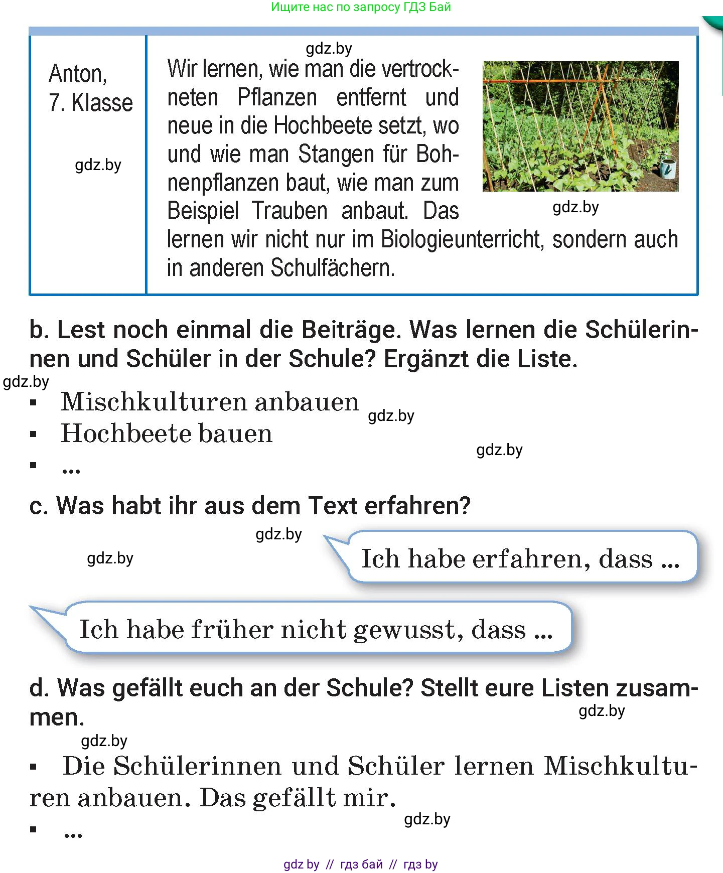 Немецкий язык (Deutsch), 7 класс Учебник (Schülerbuch), авторы: Будько Антонина Филипповна (Budjko Antonina), Урбанович Инна Ювинальевна (Urbanowitsch Ina), издательство Вышэйшая школа, Минск, 2021, страница 161, номер 6, Условие (продолжение 3)