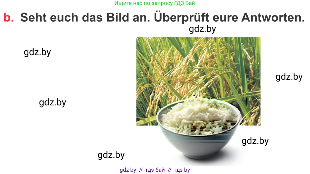 Немецкий язык (Deutsch), 8 класс Учебник (Schülerbuch), авторы: Будько Антонина Филипповна (Budjko Antonina), Урбанович Инна Ювинальевна (Urbanowitsch Ina), издательство Вышэйшая школа, Минск, 2018, страница 222, номер 6b, Условие