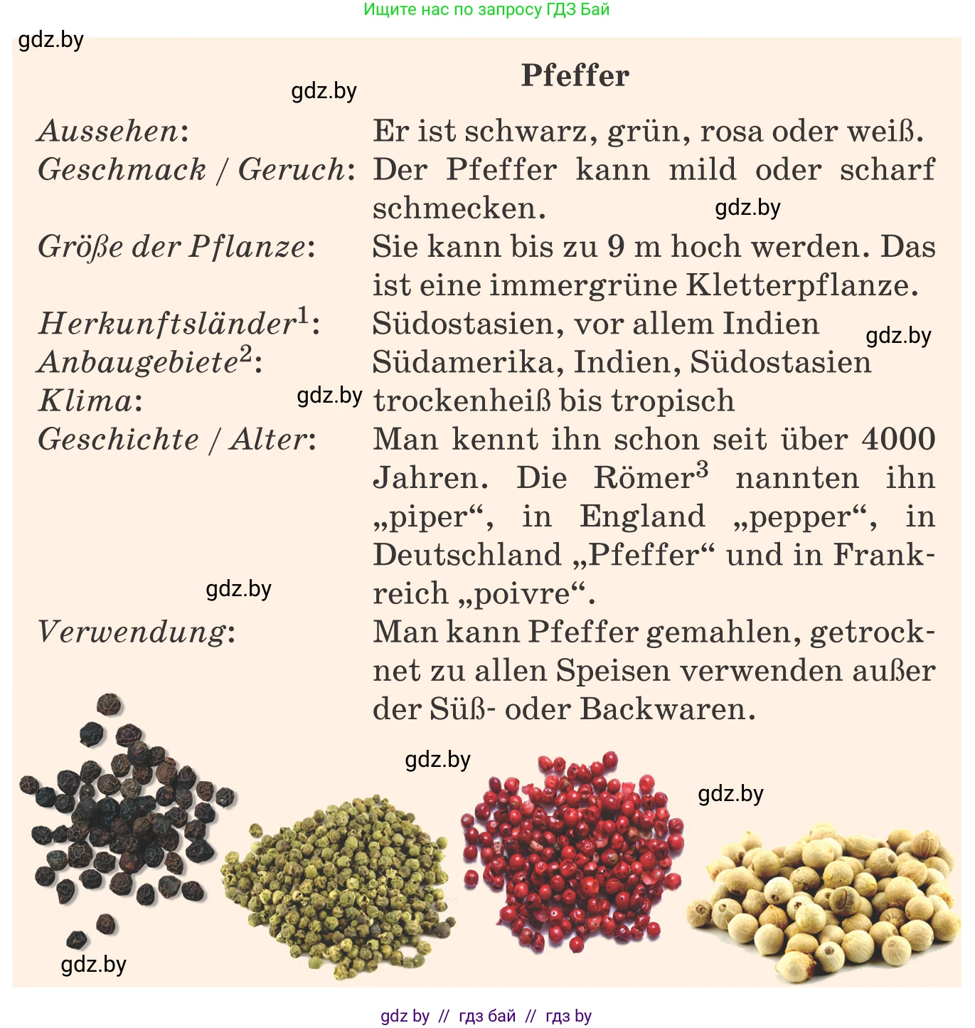 Немецкий язык (Deutsch), 8 класс Учебник (Schülerbuch), авторы: Будько Антонина Филипповна (Budjko Antonina), Урбанович Инна Ювинальевна (Urbanowitsch Ina), издательство Вышэйшая школа, Минск, 2018, страница 226, номер 9f, Условие (продолжение 2)