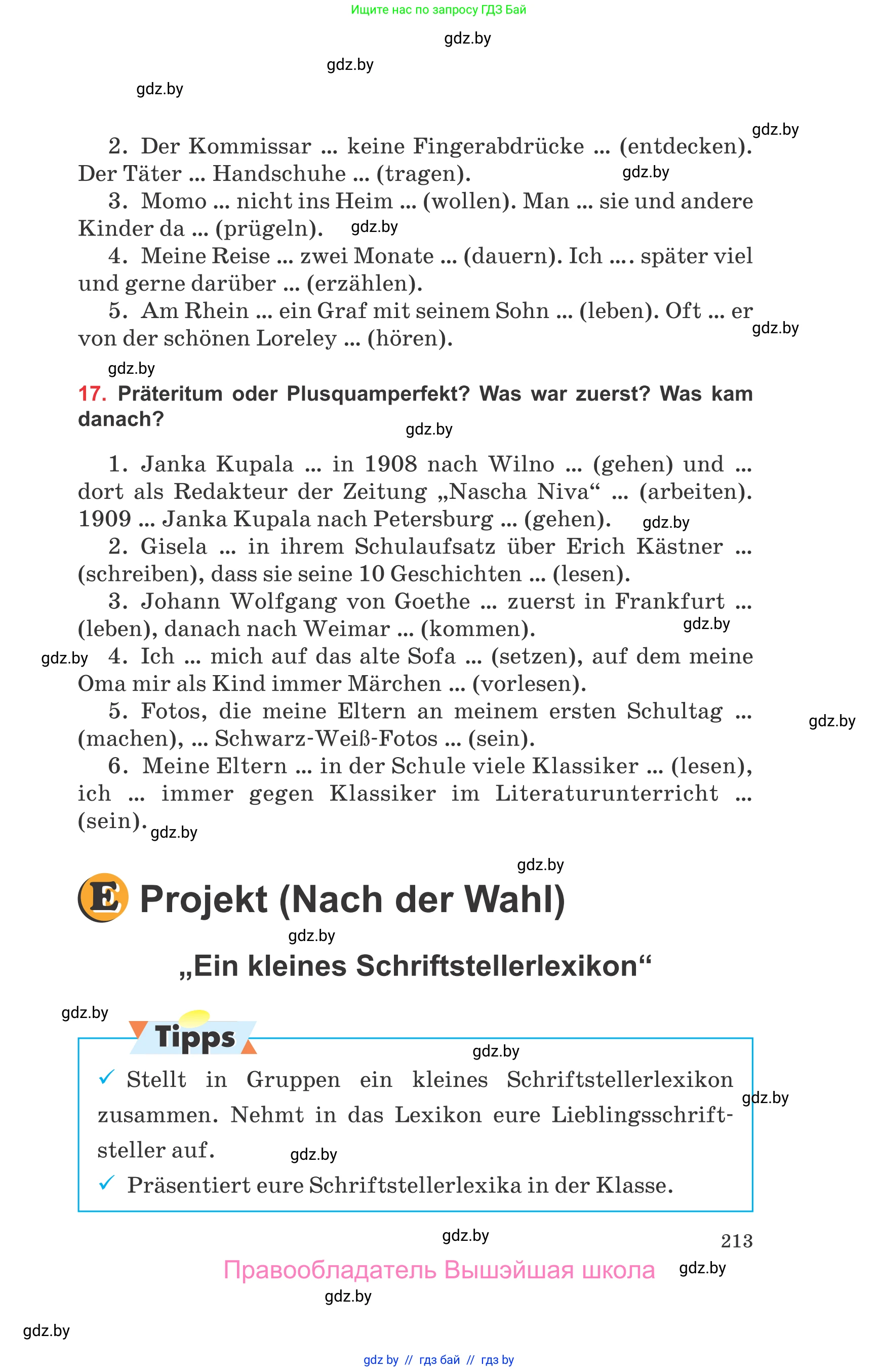 Немецкий язык (Deutsch), 8 класс Учебник (Schülerbuch), авторы: Будько Антонина Филипповна (Budjko Antonina), Урбанович Инна Ювинальевна (Urbanowitsch Ina), издательство Вышэйшая школа, Минск, 2018, страница 213