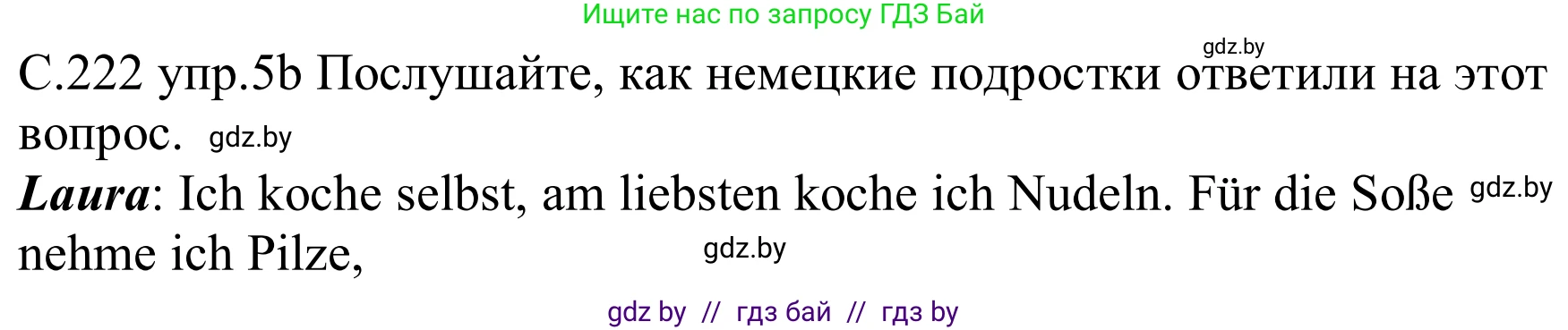 Немецкий язык (Deutsch), 8 класс Учебник (Schülerbuch), авторы: Будько Антонина Филипповна (Budjko Antonina), Урбанович Инна Ювинальевна (Urbanowitsch Ina), издательство Вышэйшая школа, Минск, 2018, страница 222, номер 5b, Решение