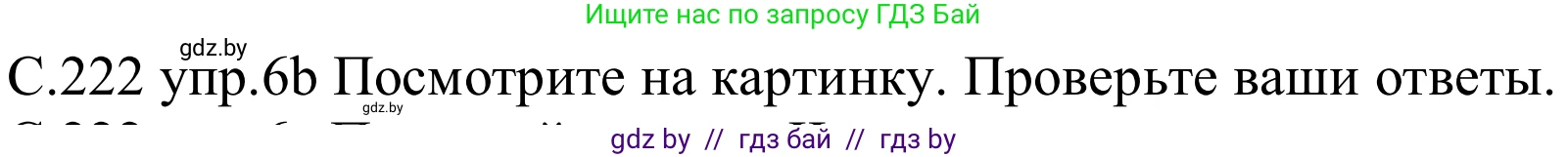 Немецкий язык (Deutsch), 8 класс Учебник (Schülerbuch), авторы: Будько Антонина Филипповна (Budjko Antonina), Урбанович Инна Ювинальевна (Urbanowitsch Ina), издательство Вышэйшая школа, Минск, 2018, страница 222, номер 6b, Решение