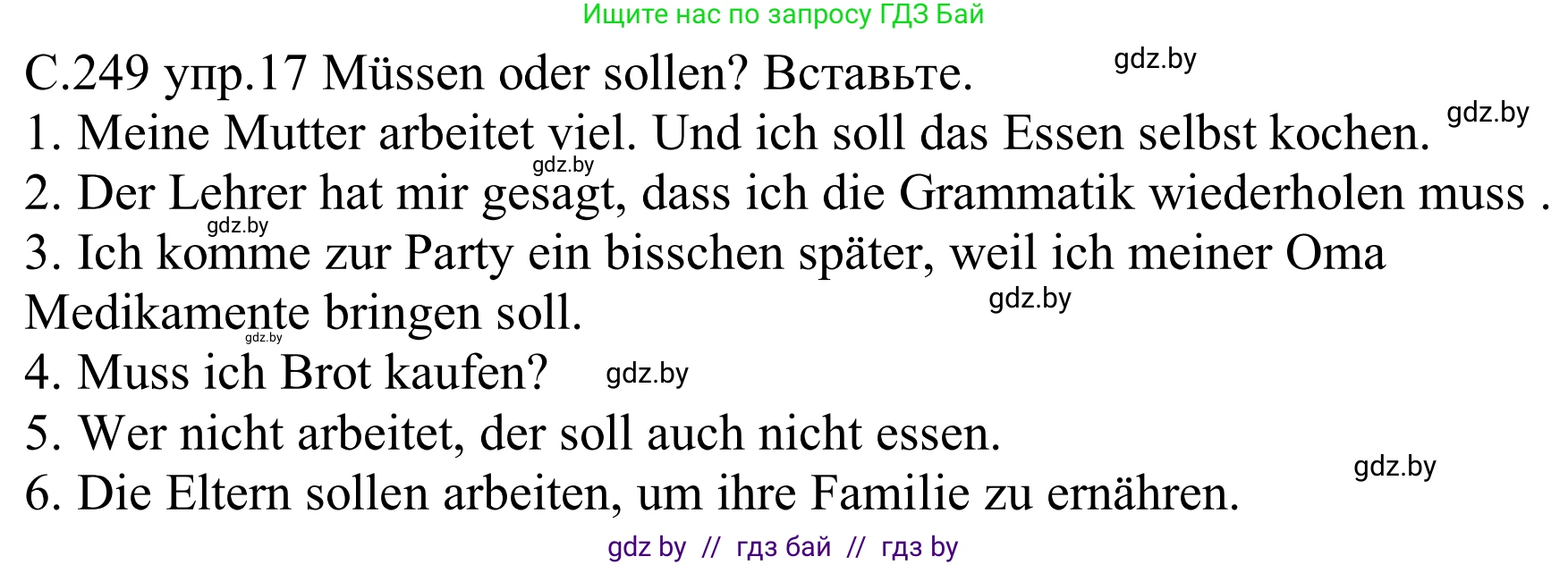 Немецкий язык (Deutsch), 8 класс Учебник (Schülerbuch), авторы: Будько Антонина Филипповна (Budjko Antonina), Урбанович Инна Ювинальевна (Urbanowitsch Ina), издательство Вышэйшая школа, Минск, 2018, страница 249, номер 17, Решение