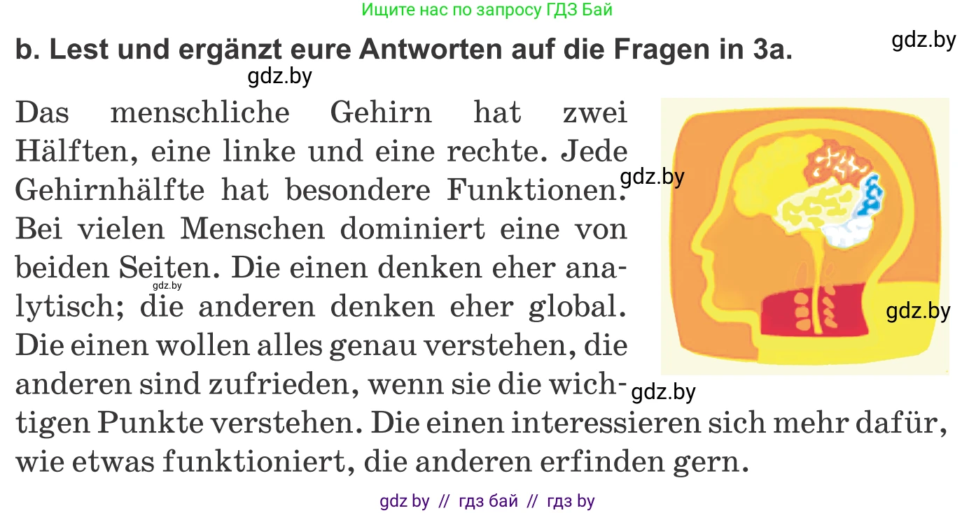 Немецкий язык (Deutsch), 9 класс Учебник (Schülerbuch), авторы: Будько Антонина Филипповна (Budjko Antonina), Урбанович Инна Ювинальевна (Urbanowitsch Ina), издательство Вышэйшая школа, Минск, 2018, серого цвета, страница 10, номер 3b, Условие