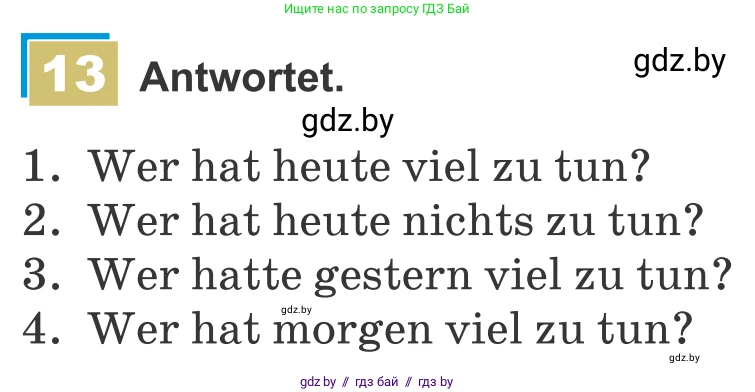 Немецкий язык (Deutsch), 9 класс Учебник (Schülerbuch), авторы: Будько Антонина Филипповна (Budjko Antonina), Урбанович Инна Ювинальевна (Urbanowitsch Ina), издательство Вышэйшая школа, Минск, 2018, серого цвета, страница 166, номер 13, Условие
