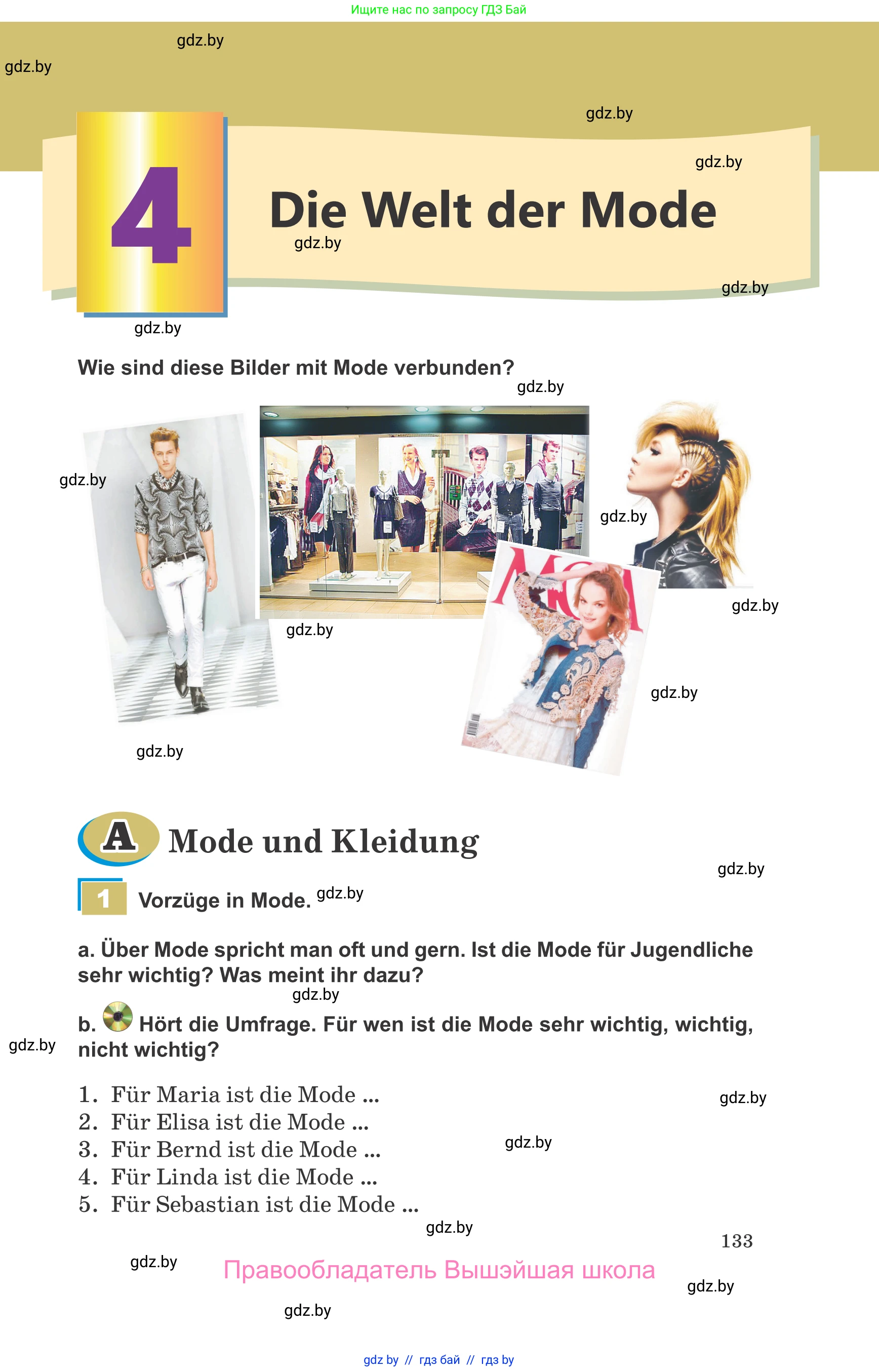 Немецкий язык (Deutsch), 9 класс Учебник (Schülerbuch), авторы: Будько Антонина Филипповна (Budjko Antonina), Урбанович Инна Ювинальевна (Urbanowitsch Ina), издательство Вышэйшая школа, Минск, 2018, серого цвета, страница 133