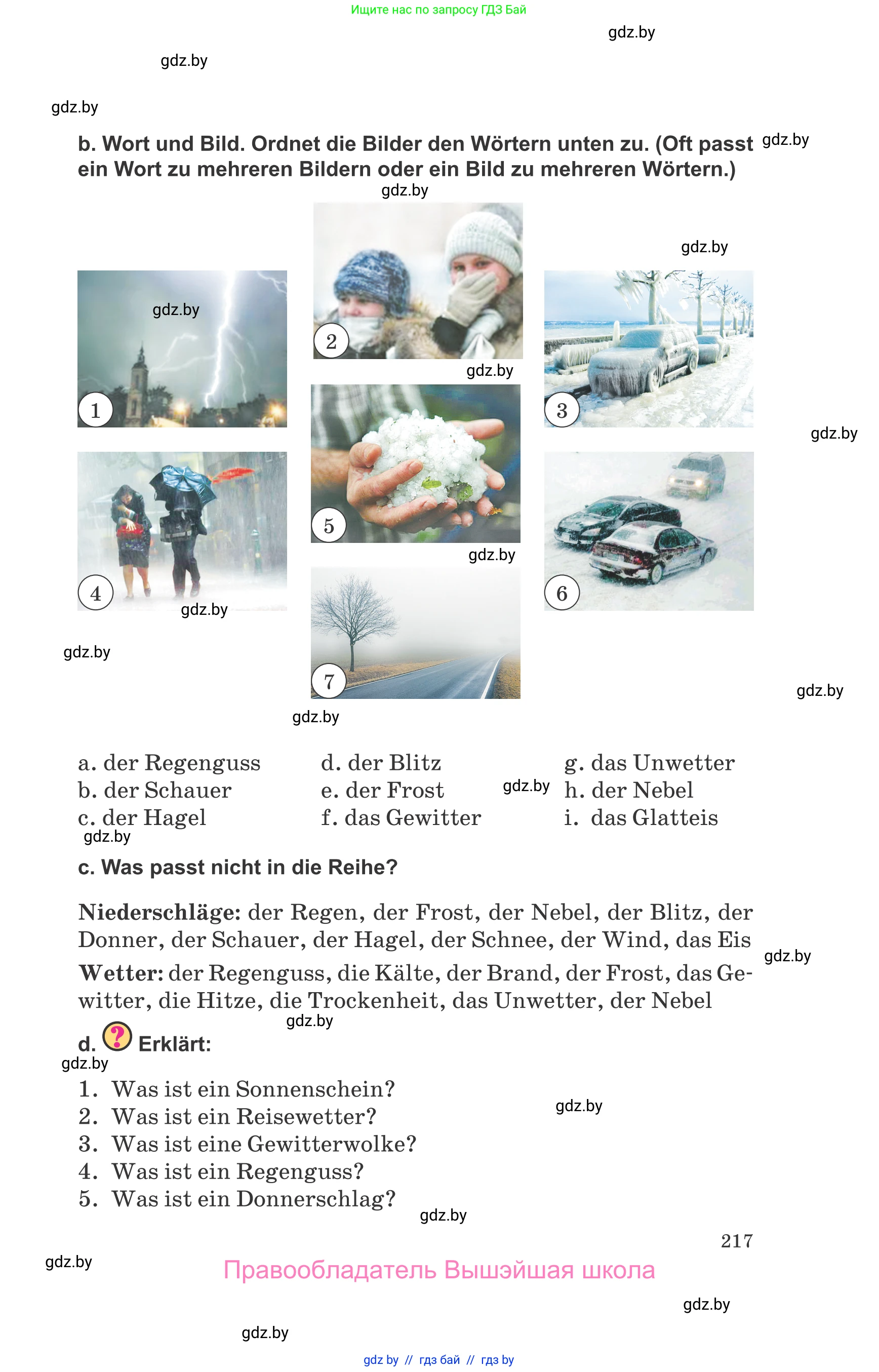 Немецкий язык (Deutsch), 9 класс Учебник (Schülerbuch), авторы: Будько Антонина Филипповна (Budjko Antonina), Урбанович Инна Ювинальевна (Urbanowitsch Ina), издательство Вышэйшая школа, Минск, 2018, серого цвета, страница 217