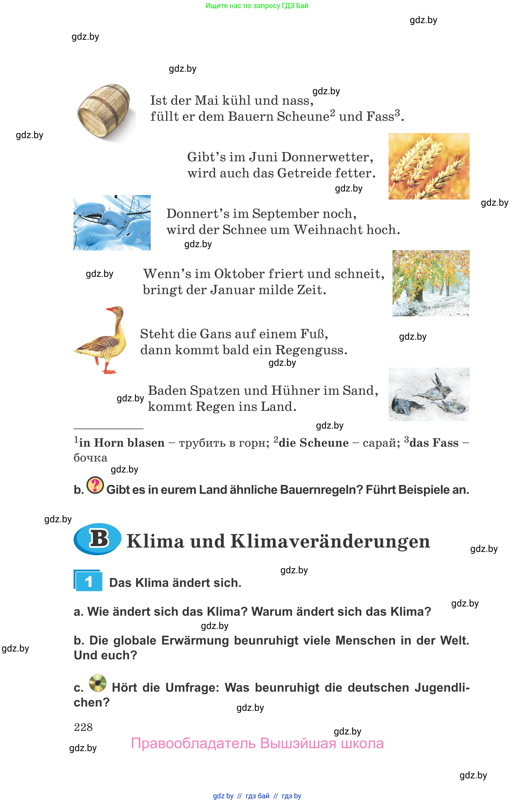 Немецкий язык (Deutsch), 9 класс Учебник (Schülerbuch), авторы: Будько Антонина Филипповна (Budjko Antonina), Урбанович Инна Ювинальевна (Urbanowitsch Ina), издательство Вышэйшая школа, Минск, 2018, серого цвета, страница 228