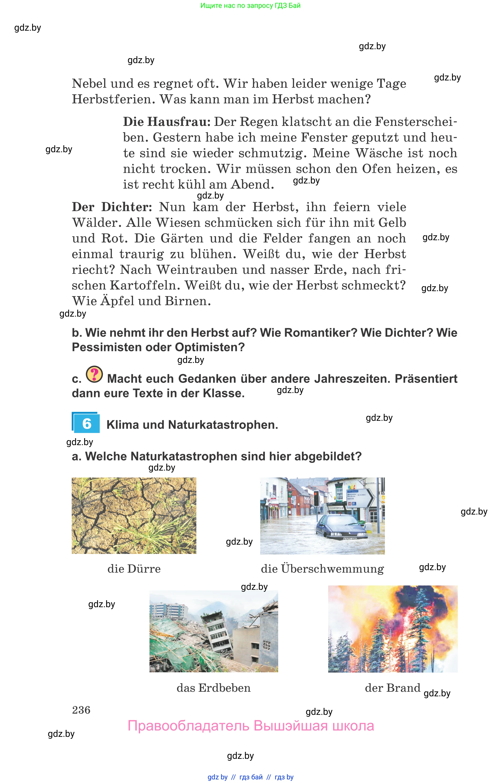 Немецкий язык (Deutsch), 9 класс Учебник (Schülerbuch), авторы: Будько Антонина Филипповна (Budjko Antonina), Урбанович Инна Ювинальевна (Urbanowitsch Ina), издательство Вышэйшая школа, Минск, 2018, серого цвета, страница 236