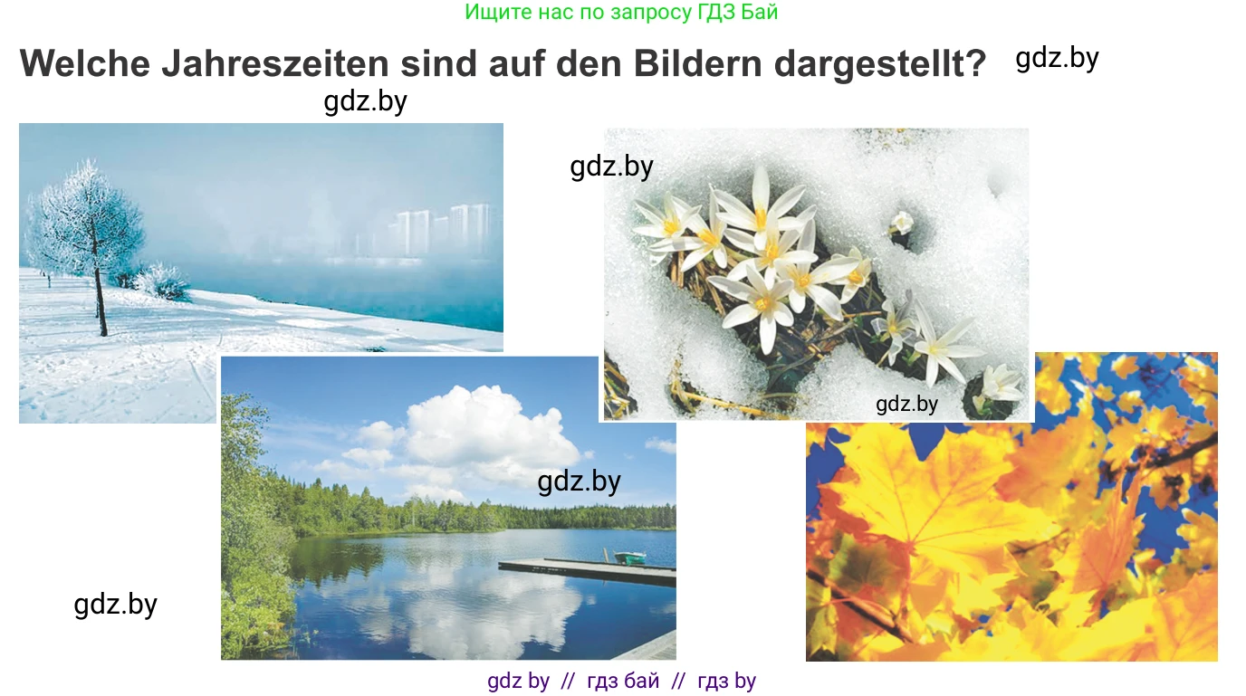 Немецкий язык (Deutsch), 9 класс Учебник (Schülerbuch), авторы: Будько Антонина Филипповна (Budjko Antonina), Урбанович Инна Ювинальевна (Urbanowitsch Ina), издательство Вышэйшая школа, Минск, 2018, серого цвета, страница 215, номер 1, Условие