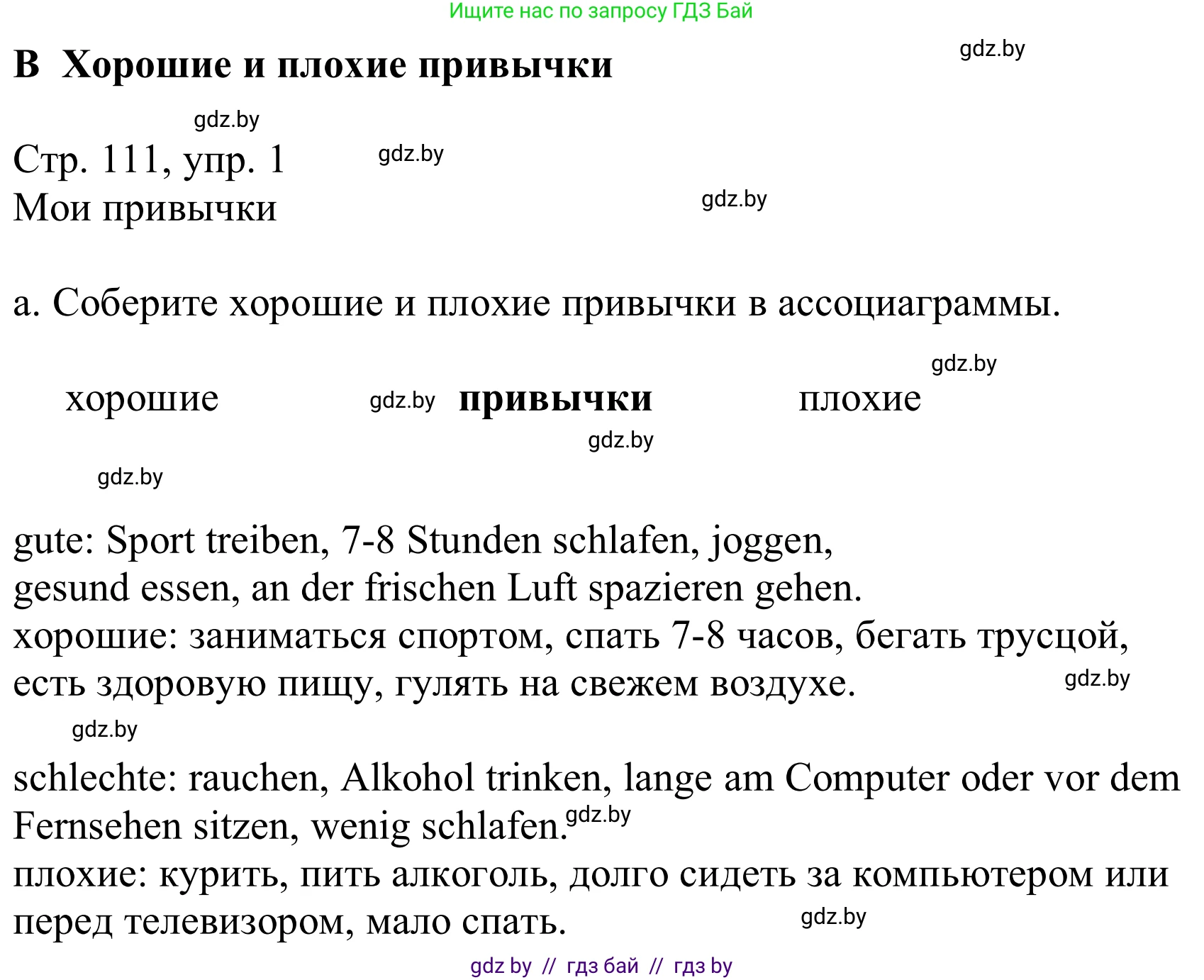 Немецкий язык (Deutsch), 9 класс Учебник (Schülerbuch), авторы: Будько Антонина Филипповна (Budjko Antonina), Урбанович Инна Ювинальевна (Urbanowitsch Ina), издательство Вышэйшая школа, Минск, 2018, серого цвета, страница 111, номер 1a, Решение