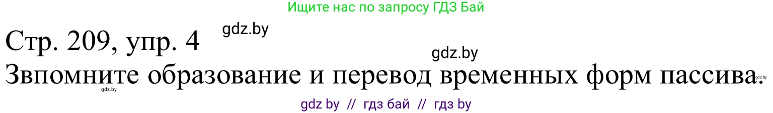 Немецкий язык (Deutsch), 9 класс Учебник (Schülerbuch), авторы: Будько Антонина Филипповна (Budjko Antonina), Урбанович Инна Ювинальевна (Urbanowitsch Ina), издательство Вышэйшая школа, Минск, 2018, серого цвета, страница 209, номер 4, Решение