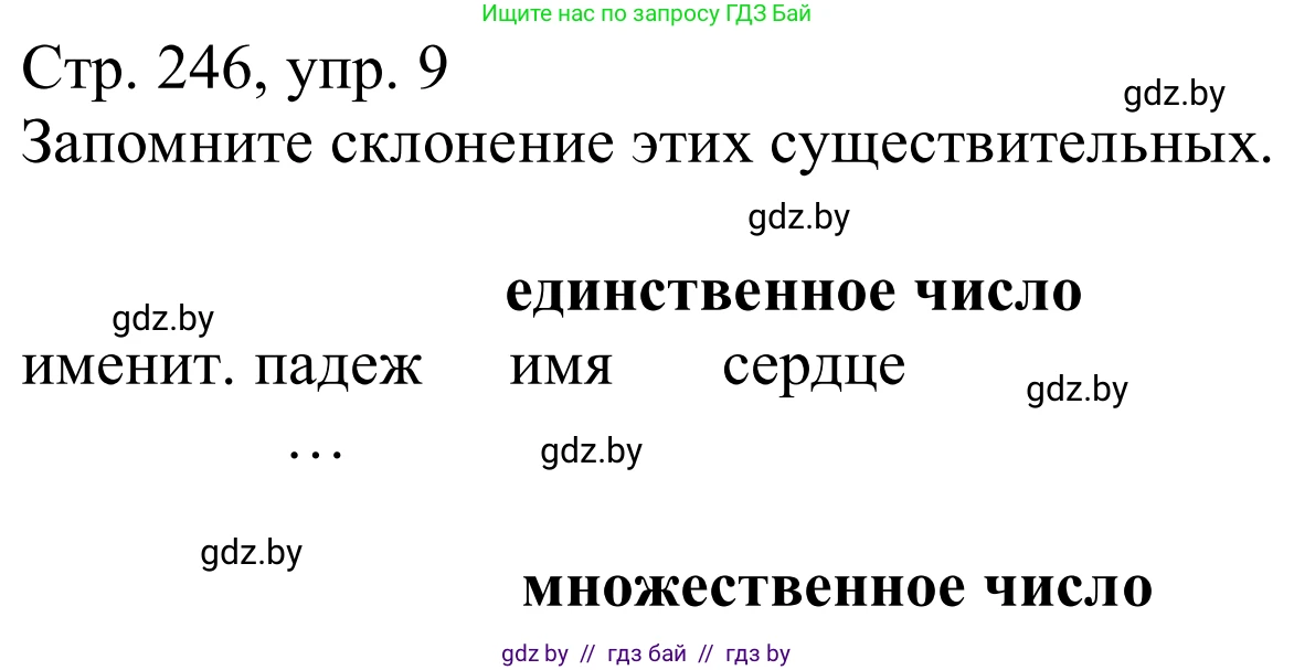 Немецкий язык (Deutsch), 9 класс Учебник (Schülerbuch), авторы: Будько Антонина Филипповна (Budjko Antonina), Урбанович Инна Ювинальевна (Urbanowitsch Ina), издательство Вышэйшая школа, Минск, 2018, серого цвета, страница 246, номер 9, Решение