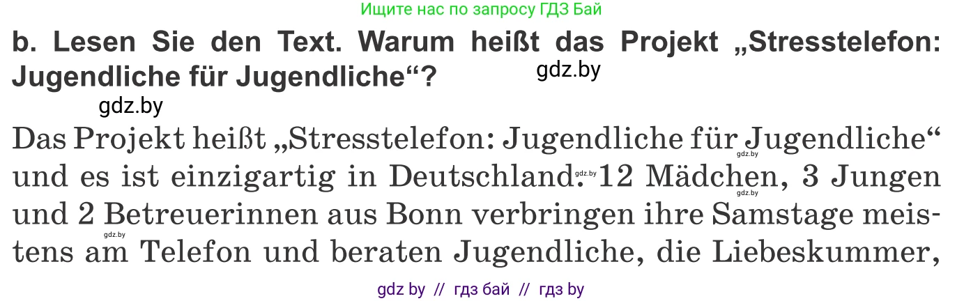 Немецкий язык (Deutsch), 10 класс Учебник (Schülerbuch), авторы: Будько Антонина Филипповна (Budjko Antonina), Урбанович Инна Ювинальевна (Urbanowitsch Ina), издательство Вышэйшая школа, Минск, 2018, оранжевого цвета, страница 213, номер 3b, Условие