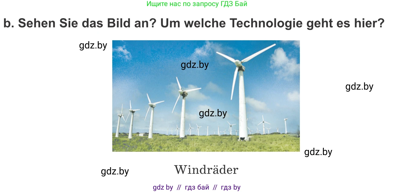 Немецкий язык (Deutsch), 10 класс Учебник (Schülerbuch), авторы: Будько Антонина Филипповна (Budjko Antonina), Урбанович Инна Ювинальевна (Urbanowitsch Ina), издательство Вышэйшая школа, Минск, 2018, оранжевого цвета, страница 255, номер 5b, Условие
