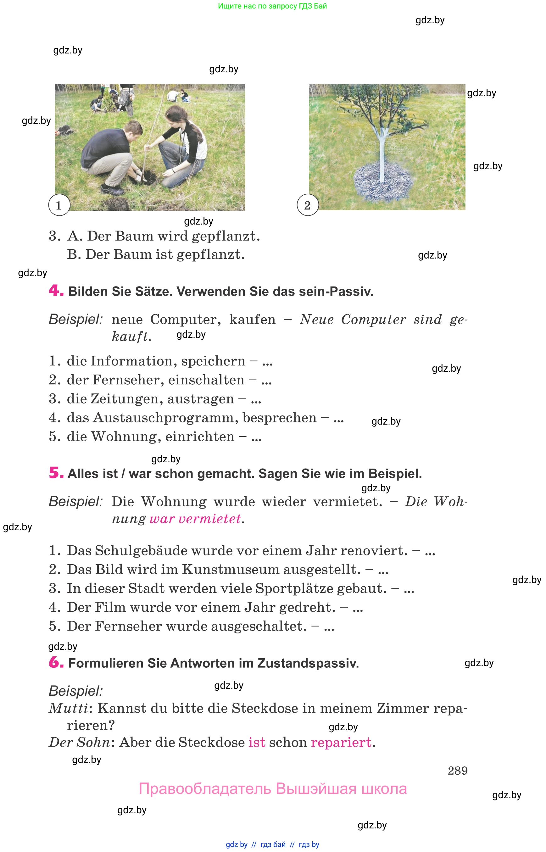 Немецкий язык (Deutsch), 10 класс Учебник (Schülerbuch), авторы: Будько Антонина Филипповна (Budjko Antonina), Урбанович Инна Ювинальевна (Urbanowitsch Ina), издательство Вышэйшая школа, Минск, 2018, оранжевого цвета, страница 289