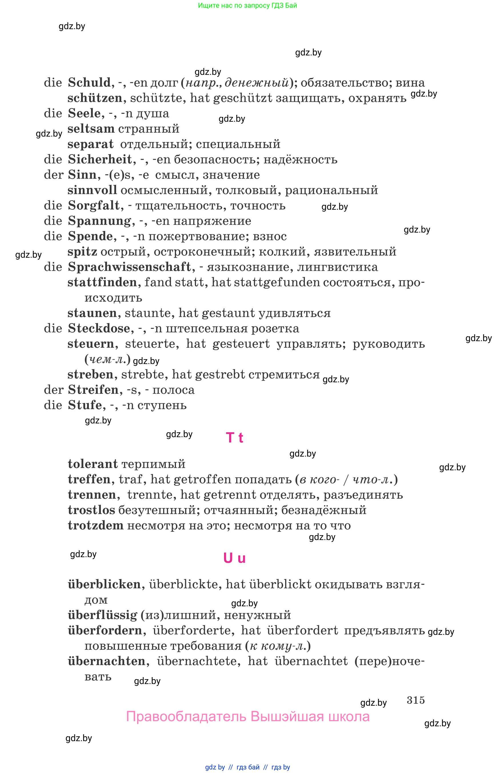 Немецкий язык (Deutsch), 10 класс Учебник (Schülerbuch), авторы: Будько Антонина Филипповна (Budjko Antonina), Урбанович Инна Ювинальевна (Urbanowitsch Ina), издательство Вышэйшая школа, Минск, 2018, оранжевого цвета, страница 315