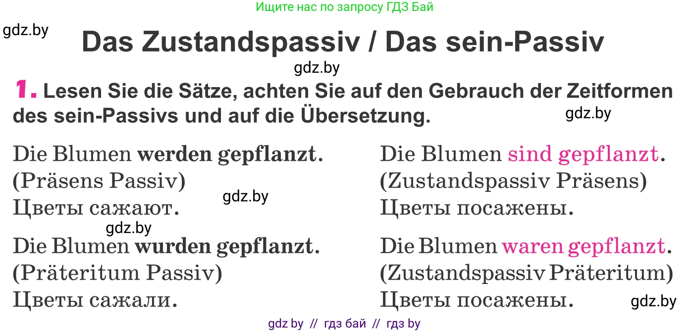 Немецкий язык (Deutsch), 10 класс Учебник (Schülerbuch), авторы: Будько Антонина Филипповна (Budjko Antonina), Урбанович Инна Ювинальевна (Urbanowitsch Ina), издательство Вышэйшая школа, Минск, 2018, оранжевого цвета, страница 288, номер 1, Условие