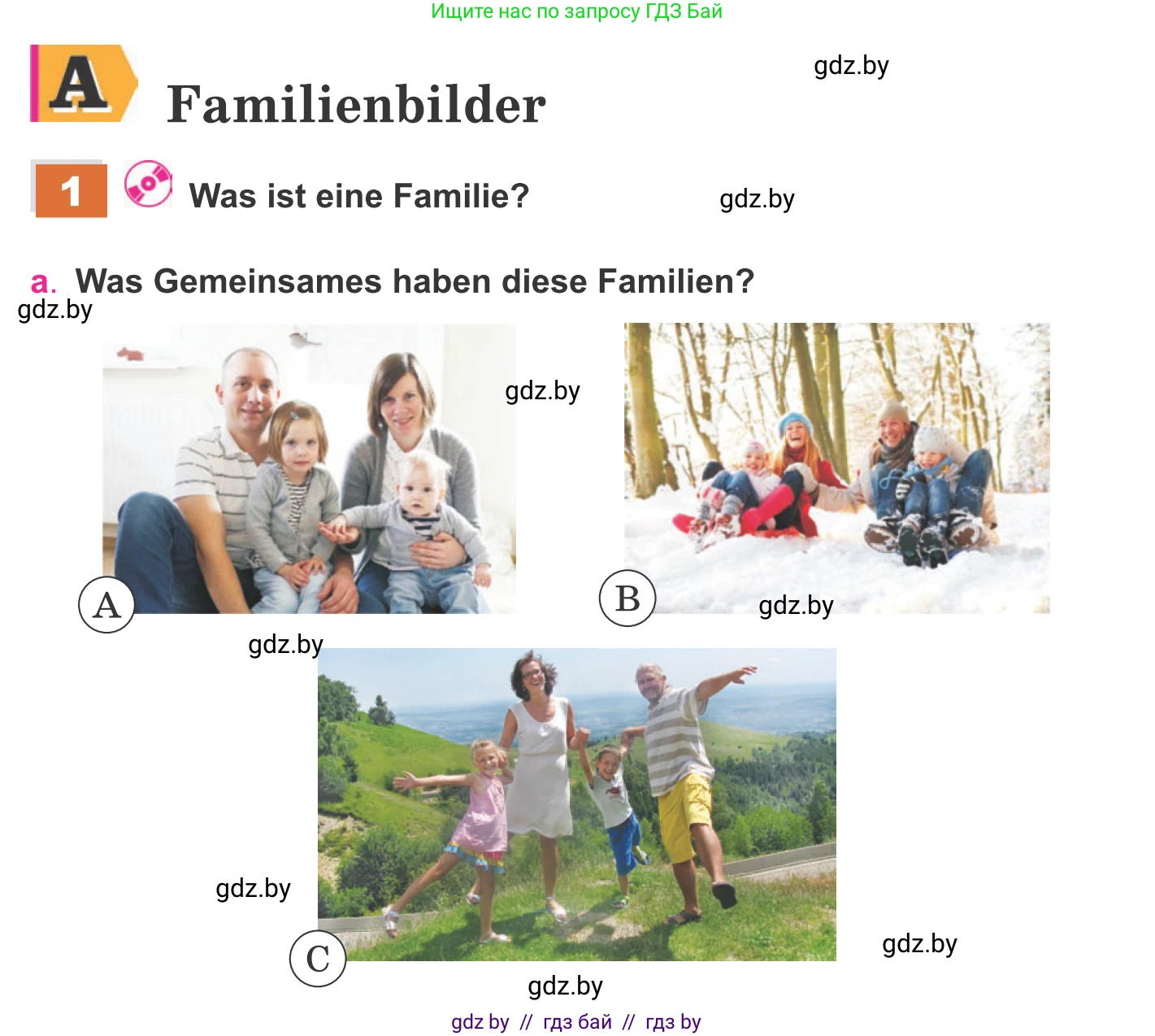 Немецкий язык (Deutsch), 11 класс Учебник (Schülerbuch), авторы: Будько Антонина Филипповна (Budjko Antonina), Урбанович Инна Ювинальевна (Urbanowitsch Ina), издательство Вышэйшая школа, Минск, 2019, бирюзового цвета, страница 62, номер 1a, Условие