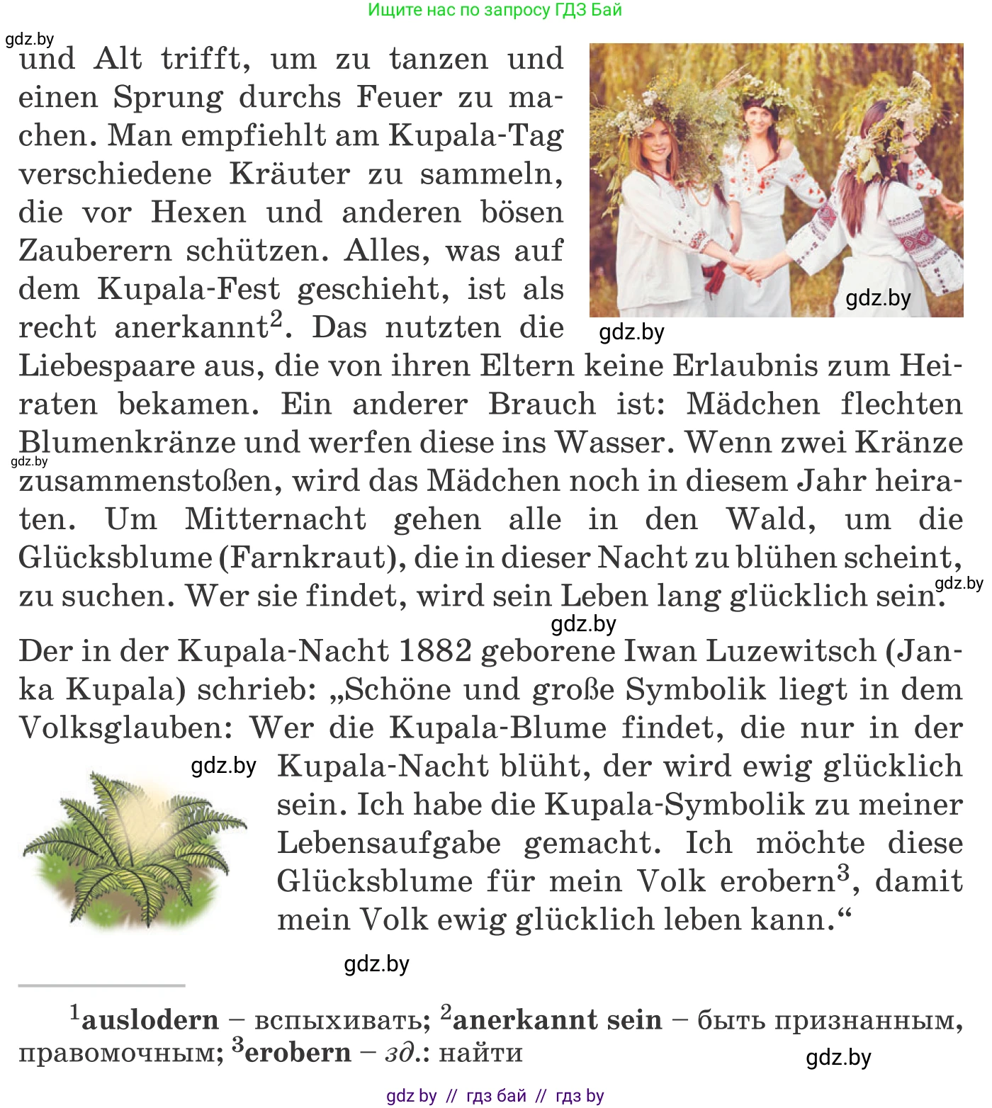 Немецкий язык (Deutsch), 11 класс Учебник (Schülerbuch), авторы: Будько Антонина Филипповна (Budjko Antonina), Урбанович Инна Ювинальевна (Urbanowitsch Ina), издательство Вышэйшая школа, Минск, 2019, бирюзового цвета, страница 230, номер 8f, Условие (продолжение 2)