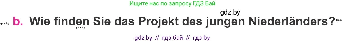 Немецкий язык (Deutsch), 11 класс Учебник (Schülerbuch), авторы: Будько Антонина Филипповна (Budjko Antonina), Урбанович Инна Ювинальевна (Urbanowitsch Ina), издательство Вышэйшая школа, Минск, 2019, бирюзового цвета, страница 294, номер 8b, Условие