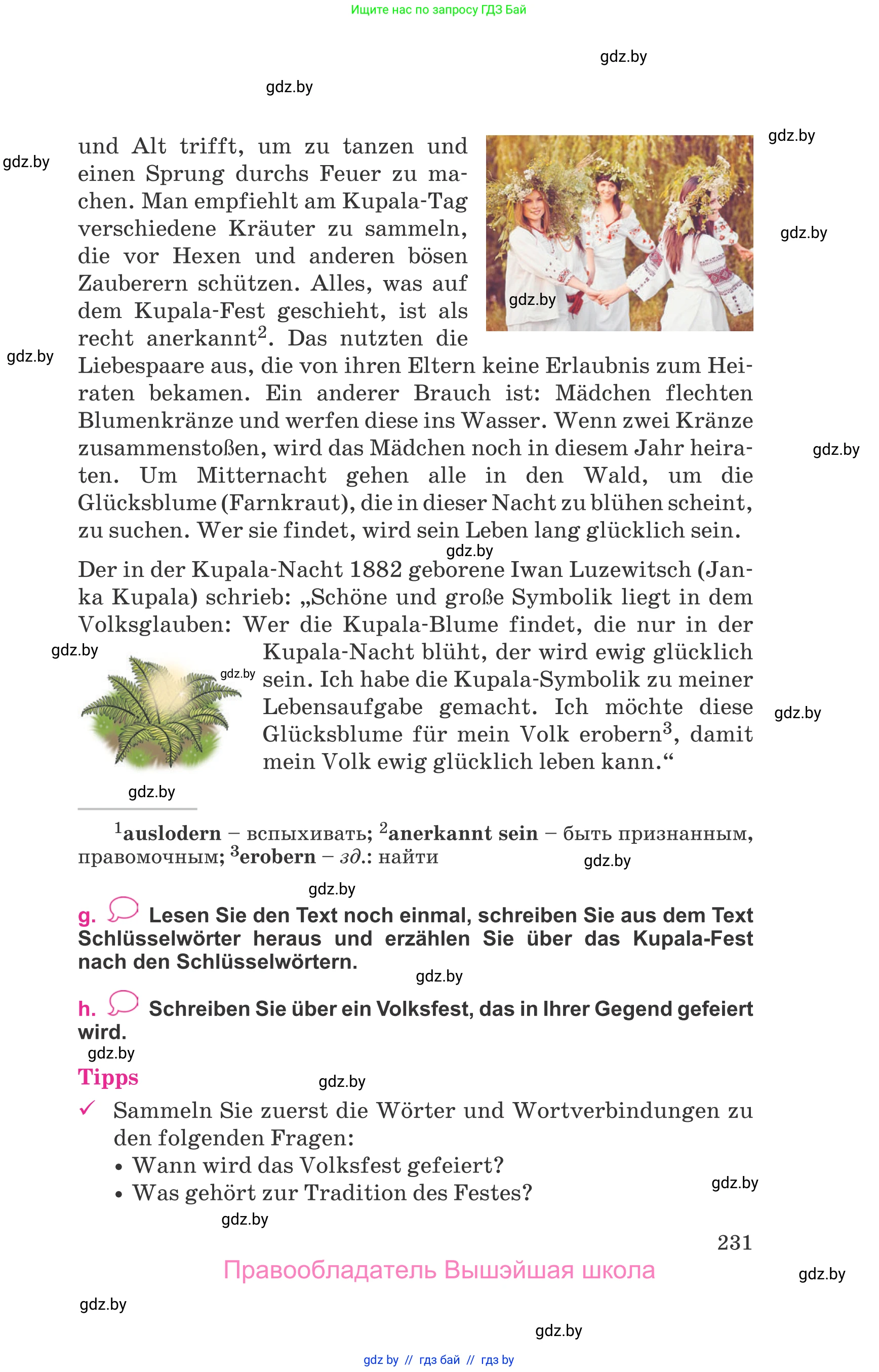 Немецкий язык (Deutsch), 11 класс Учебник (Schülerbuch), авторы: Будько Антонина Филипповна (Budjko Antonina), Урбанович Инна Ювинальевна (Urbanowitsch Ina), издательство Вышэйшая школа, Минск, 2019, бирюзового цвета, страница 231