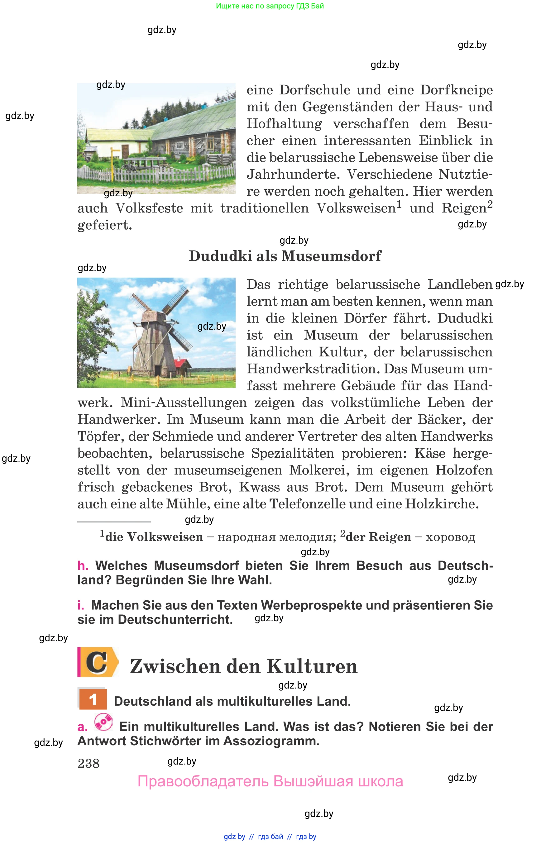 Немецкий язык (Deutsch), 11 класс Учебник (Schülerbuch), авторы: Будько Антонина Филипповна (Budjko Antonina), Урбанович Инна Ювинальевна (Urbanowitsch Ina), издательство Вышэйшая школа, Минск, 2019, бирюзового цвета, страница 238