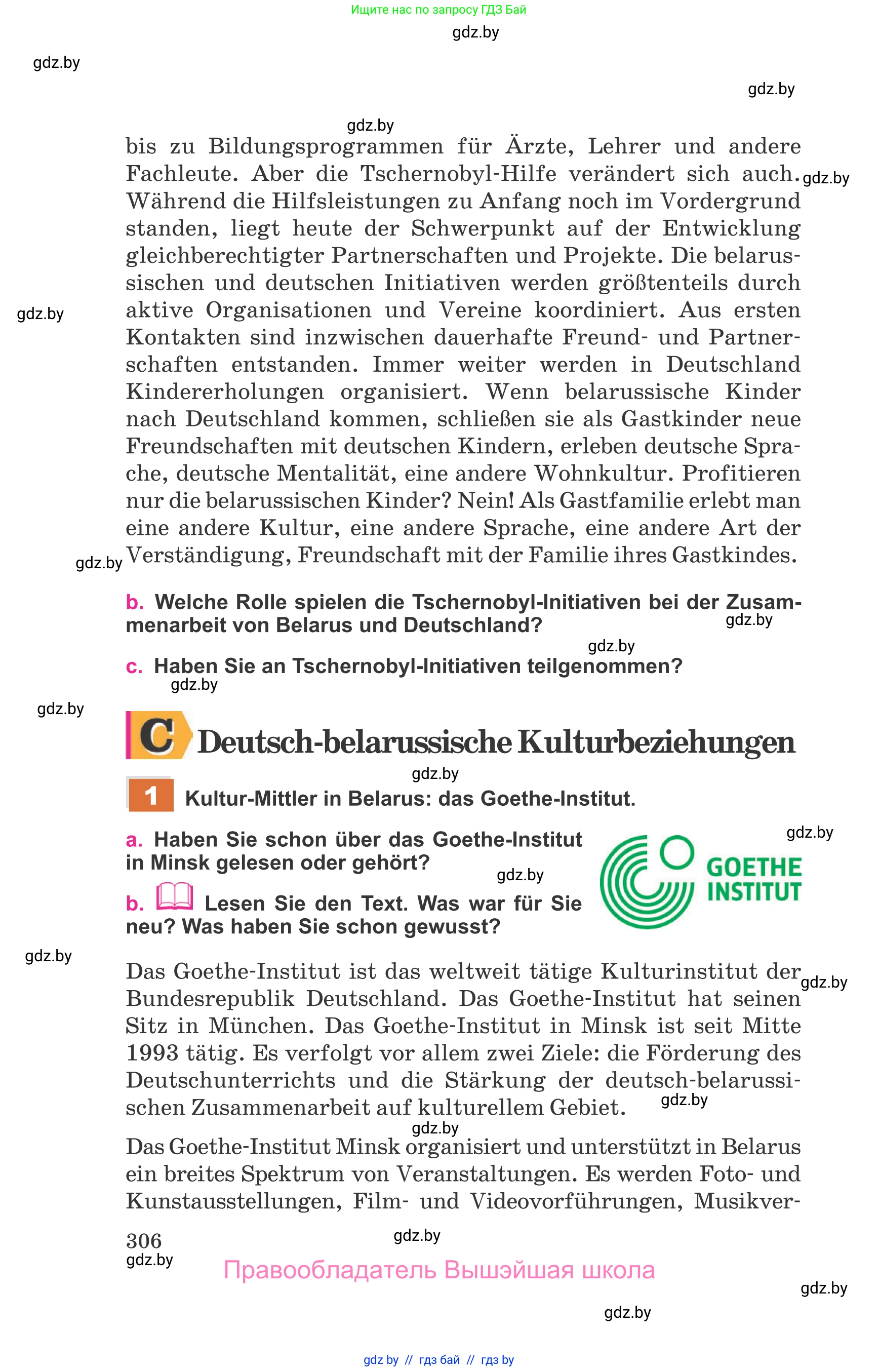 Немецкий язык (Deutsch), 11 класс Учебник (Schülerbuch), авторы: Будько Антонина Филипповна (Budjko Antonina), Урбанович Инна Ювинальевна (Urbanowitsch Ina), издательство Вышэйшая школа, Минск, 2019, бирюзового цвета, страница 306