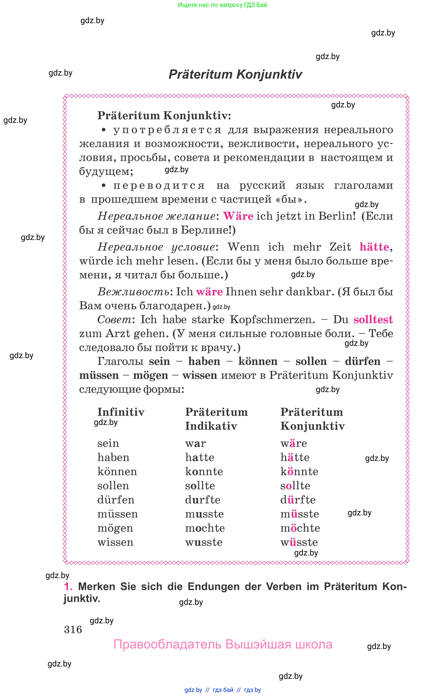 Немецкий язык (Deutsch), 11 класс Учебник (Schülerbuch), авторы: Будько Антонина Филипповна (Budjko Antonina), Урбанович Инна Ювинальевна (Urbanowitsch Ina), издательство Вышэйшая школа, Минск, 2019, бирюзового цвета, страница 316