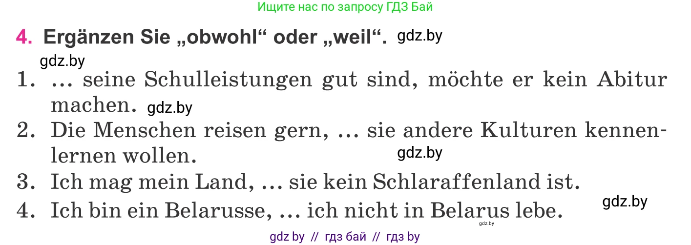 Немецкий язык (Deutsch), 11 класс Учебник (Schülerbuch), авторы: Будько Антонина Филипповна (Budjko Antonina), Урбанович Инна Ювинальевна (Urbanowitsch Ina), издательство Вышэйшая школа, Минск, 2019, бирюзового цвета, страница 325, номер 4, Условие