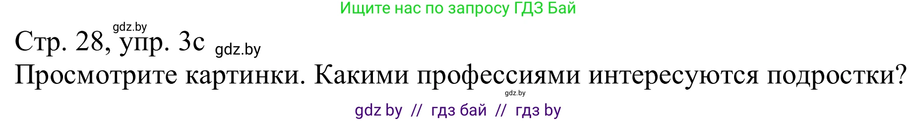Немецкий язык (Deutsch), 11 класс Учебник (Schülerbuch), авторы: Будько Антонина Филипповна (Budjko Antonina), Урбанович Инна Ювинальевна (Urbanowitsch Ina), издательство Вышэйшая школа, Минск, 2019, бирюзового цвета, страница 28, номер 3c, Решение