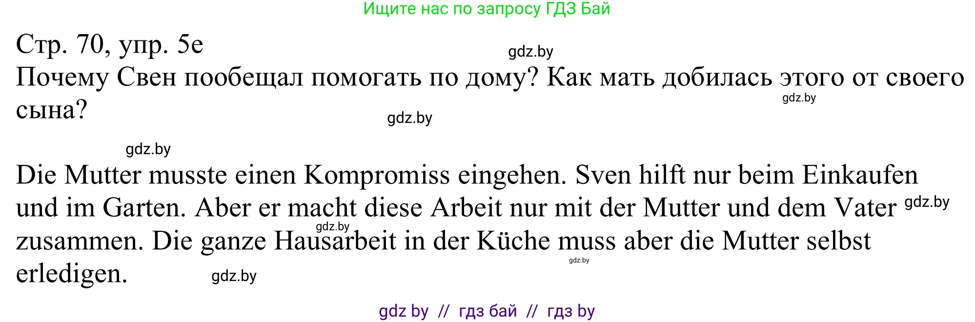 Немецкий язык (Deutsch), 11 класс Учебник (Schülerbuch), авторы: Будько Антонина Филипповна (Budjko Antonina), Урбанович Инна Ювинальевна (Urbanowitsch Ina), издательство Вышэйшая школа, Минск, 2019, бирюзового цвета, страница 70, номер 5e, Решение