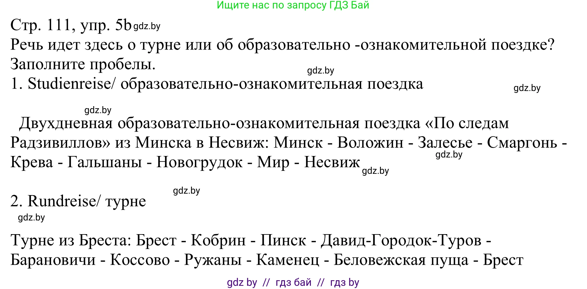 Немецкий язык (Deutsch), 11 класс Учебник (Schülerbuch), авторы: Будько Антонина Филипповна (Budjko Antonina), Урбанович Инна Ювинальевна (Urbanowitsch Ina), издательство Вышэйшая школа, Минск, 2019, бирюзового цвета, страница 111, номер 5b, Решение