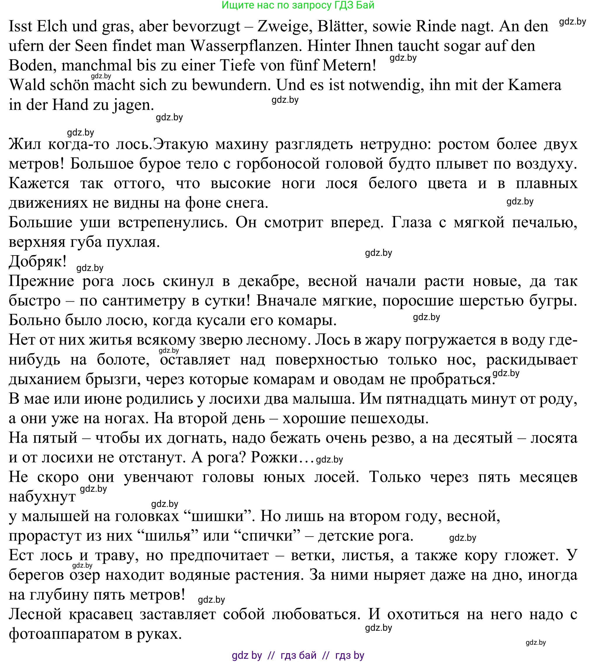 Немецкий язык (Deutsch), 11 класс Учебник (Schülerbuch), авторы: Будько Антонина Филипповна (Budjko Antonina), Урбанович Инна Ювинальевна (Urbanowitsch Ina), издательство Вышэйшая школа, Минск, 2019, бирюзового цвета, страница 177, номер 3b, Решение (продолжение 2)