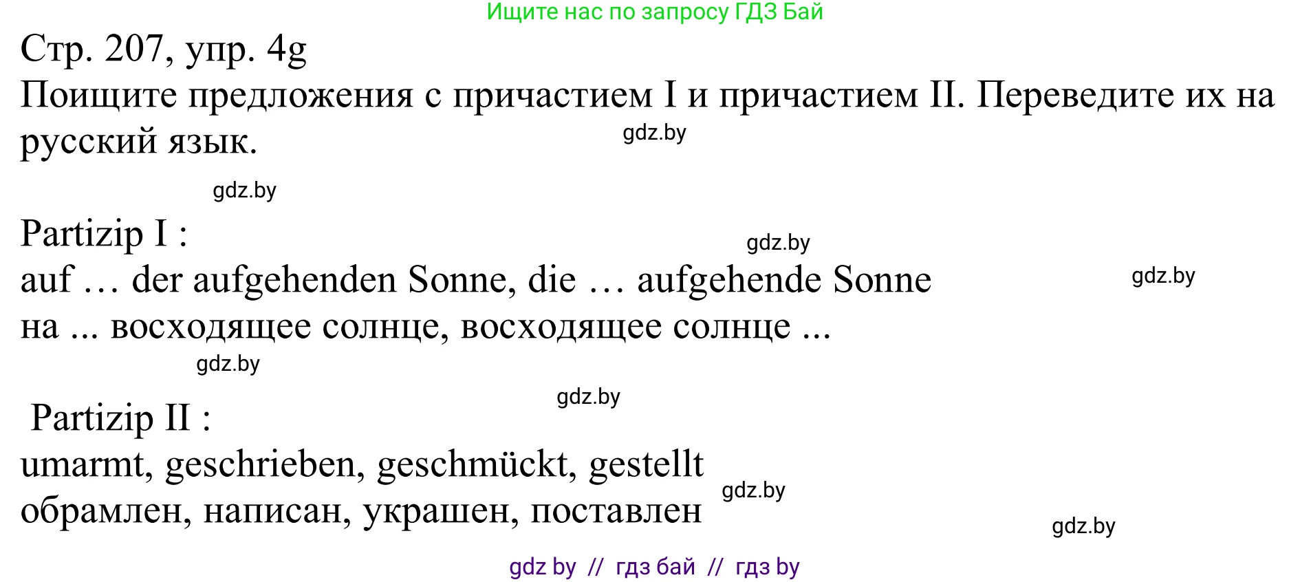 Немецкий язык (Deutsch), 11 класс Учебник (Schülerbuch), авторы: Будько Антонина Филипповна (Budjko Antonina), Урбанович Инна Ювинальевна (Urbanowitsch Ina), издательство Вышэйшая школа, Минск, 2019, бирюзового цвета, страница 207, номер 4g, Решение
