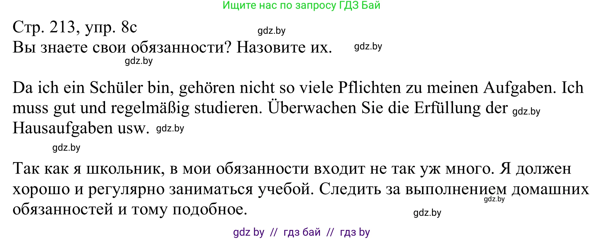 Немецкий язык (Deutsch), 11 класс Учебник (Schülerbuch), авторы: Будько Антонина Филипповна (Budjko Antonina), Урбанович Инна Ювинальевна (Urbanowitsch Ina), издательство Вышэйшая школа, Минск, 2019, бирюзового цвета, страница 213, номер 8c, Решение